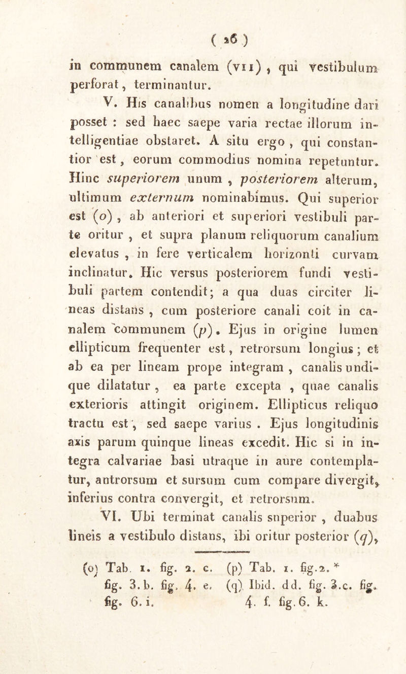 perforat, terminantur. V. His canalibus nomen a longitudine dari posset : sed haec saepe varia rectae illorum in~ telligentiae obstaret, A situ ergo , qui constan- tior est, eorum commodius nomina repetuntur. Hinc superiorem unum * posteriorem alterum, ultimum externum nominabimus. Qui superior est (o) , ab anteriori et superiori vestibuli par- te oritur , et supra planum reliquorum canalium elevatus , in fere verticalem horizonti curvam inclinatur* Hic versus posteriorem fundi vesti- buli partem contendit; a qua duas circiter li- neas distans , cum posteriore canali coit in ca- nalem 'communem (p) • Ejus in origine lumen ellipticum frequenter est, retrorsum longius; et ab ea per lineam prope integram, canalis undi- que dilatatur , ea parte excepta , quae canalis exterioris attingit originem. Ellipticus reliquo tractu est , sed saepe varius . Ejus longitudinis axis parum quinque lineas excedit. Hic si in in- tegra calvariae basi utraque in aure contempla- tur, antrorsum et sursum cum compare divergit^ inferius contra convergit, et retrorsum. VI. Ubi terminat canalis snperior , duabus lineis a vestibulo distans, ibi oritur posterior (<y), (oj Tab. i. %. 2, c. (p) Tab. i. fig.2. * fig. 3.b. fig, 4. e. (q), Ibici, dd. fig. i.c. fig, fig. 6. i. 4 f. %-6. k.