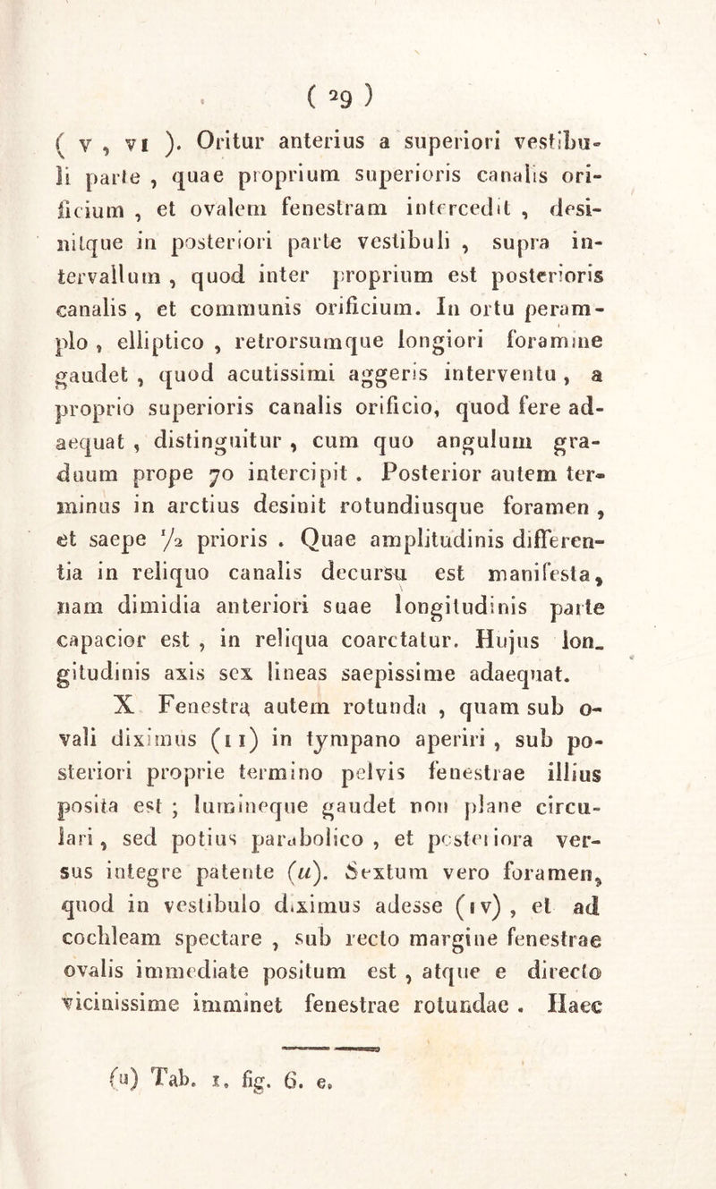 ( v , vi ). Oritur anterius a superiori vestibu- li parte , quae proprium superioris canalis ori- ficium , et ovalem fenestram intercedit , desi- ni [que in posteriori parte vestibuli , supra in- tervallum , quod inter proprium est posterioris canalis , et communis orificium. In ortu peram- plo , elliptico , retrorsum que longiori foramine gaudet , quod acutissimi aggeris interventu , a proprio superioris canalis orificio, quod fere ad- aequat , distinguitur , cum quo angulum gra- duum prope 70 intercipit . Posterior autem ter- minus in arctius desinit rotundiusque foramen 9 et saepe f/a prioris . Quae amplitudinis differen- tia in reliquo canalis decursu est manifesta 9 nam dimidia anteriori suae longitudinis parte capacior est , in reliqua eoarctatur. Hujus ion_ gitudinis axis sex lineas saepissime adaequat. X Fenestra autem rotunda , quam sub o- vali diximus (11) in tympano aperiri, sub po- steriori proprie termino pelvis fenestrae illius posita est ; lurnineque gaudet non plane circu- lari , sed potius parabolico , et pcsteiiora ver- sus integre patente (u). Sextum vero foramen^ quod in vestibulo diximus adesse (iv), ei ad cochleam spectare , sub recto margine fenestrae ovalis immediate positum est , atque e directo vicinissime imminet fenestrae rotundae . Haec