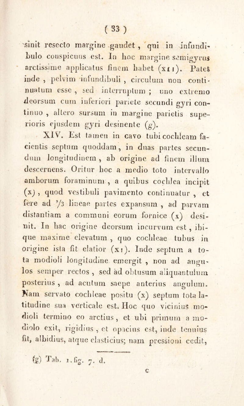 sinit resecto margine gaudet , qui in infundi* Lulo conspicuus est. In hoc margine seni i gyrus arctissime applicatus finem habet (xn). Patet inde , pelvim infundibuli , circulum non conti- nuatum esse , sed interruptum ; uno extremo deorsum cum inferiori pariete secundi gyri con- tinuo , altero sursum in margine parietis supe- rioris ejusdem gyri desinente (g). XIV. Est tamen in cavo tubi cochleam fa- cientis septum quoddam, in duas partes secun- dum longitudinem , ah origine ad finem illum descernens. Oritur hoc a medio toto intervallo amborum foraminum , a quibus cochlea incipit (x) , quod vestibuli pavimento continuatur , et fere ad V3 lineae partes expansum , ad parvam distantiam a communi eorum fornice (x) desi- nit. In hac origine deorsum incurvum est , ibi- que maxime elevatum , quo cochleae tubus in origine ista fit elatior (xi). Inde septum a to- ta modioli longitudine emergit , non ad angu- los semper rectos , sed ad oblusum aliquantulum posterius , ad acutum saepe anterius angulum. Nam servato cochleae positu (x) septum tota la- titudine sua verticale est. Hoc quo vicinius rno* dioli termino eo arctius, et ubi primum a mo- diolo exit, rigidius , et opacius est, inde tenuius fit, albidius, atque elasticius; nam pressioni cedit, fg) Tab. i.fig. c