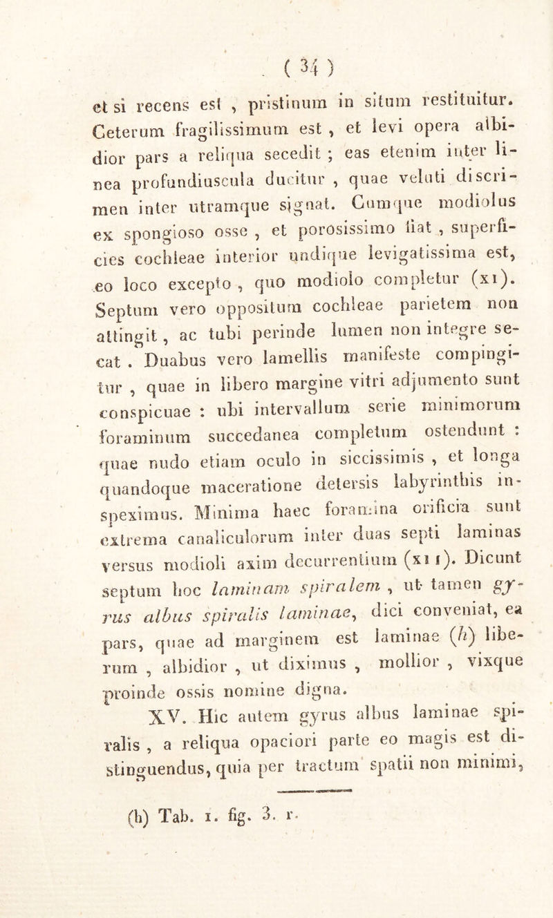 et si recens esi , pristinum in situm restituitur. Ceterum fragilissimum est , et ievi opera albi- dior pars a reliqua secedit ; eas etenim inter li- nea profundius cui a ducitur , quae vel uti discii- men inter utramque signat. Cumque modiolus ex. spongioso osse , et perosissimo liat , superfi- cies cochleae interior undique levigatissima est, eo loco excepto, quo modiolo completur (xi). Septum vero oppositum cochleae parietim non attingit, ac tubi perinde lumen non integre se- cat . Duabus vero lamellis manifeste compingi- tur , quae in libero margine vitri adjumento sunt conspicuae : ubi intervallum serie minimoium foraminum succedanea completum ostendunt . quae nudo etiam oculo in siccissimis , et longa quandoque maceratione detersis labyrinthis in- speximus. Minima haec foramina orificia sunt extrema canaliculorum inter duas septi laminas versus modioli axim decurrentium (xi i). Dicunt septum b o c la mu i a m s pira leni , u t- t a 1ti c n gjf - rus albus spiralis laminae, elici conveniat, ea pars, quae ad marginem est laminae (/2) libe- rum , albidior , ut diximus , mollior , vixque proinde ossis nomine digna. XV. Hic autem gyrus albus laminae spi- ralis , a reliqua opaciori parte eo magis est di- stinguendus, quia per tractum spatii non minimi,