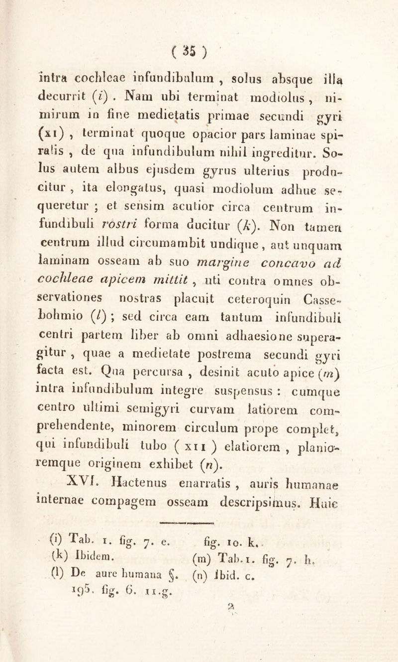 intra cochleae infundibulum , solus absque ilia decurrit (i) . Nam ubi terminat modiolus , ni- mirum in fine medietatis primae secundi gyri (xi) , terminat quoque opacior pars laminae spi- ralis , de qna infundibulum nihil ingreditur. So- lus autem albus ejusdem gyrus ulterius produ- citur , ita elongatus, quasi modiolum adhuc se- queretur ; et sensim acutior circa centrum in- fundibuli rostri forma ducitur (A). Non tamen centrum illud circumambit undique, aut unquam laminam osseam ab suo margine concavo ad cochleae apicem mittit , uti contra omnes ob- servationes nostras placuit ceteroquin Casse- bohmio (/) ; sed circa eam tantum infundibuli centri partem liber ab omni adhaesione supera- gitur , quae a medietate postrema secundi gyri facta est. Qua percursa, desinit acuto apice (m) intra infundibulum integre suspensus : cumque centro ultimi semigyri curvam latiorem com- prehendente, minorem circulum prope complet, qui infundibuli tubo ( xii ) elatiorem , planio- remque originem exhibet (n). XVL Hactenus enarratis , auris humanae 4 internae compagem osseam descripsimus. Huic (i) Tab. i. f]g, n. e. fig. io. k. - (k) Ibidem. (m) Tab.i. fig. 7. h, (l) De aure humana §. (n) ibici, c.