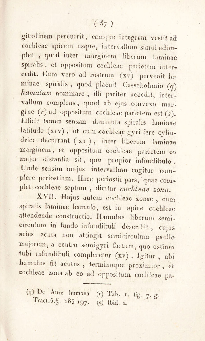 gitudinem percurrit, eamque integram vestit ad cochleae apicem usque, intervallum simul adim- plet , quod inter marginem liberum laminae spiralis , et oppositum cochleae parietem inter- cedit. Cum vero aci rostrum fxy^ pervenit ia* minae spuahs ^ quod placuit Cjassebohmio (K£j') hamulum nominare , illi pariter accedit, inter- vallum complens , quod ab ejus convexo mar- gine (r) aci oppositum cochleae parietem est (A Ufficit tamen sensim diminuta spiralis laminae latitudo (xiv) , ut cum cochleae gyri fere eviin- mice decurrant (xi J , inter liberum laminae maiginem, et oppositum cochleae parietem eo major distantia sit , quo propior infundibulo . Unde sensirn majus intervallum cogitur com- p ei e peri ostium. Haec penostii pars, quae coai- ptlei cochleae septum , dicitur cochleae zona» XVII. Hujus autem cocbleae zonae , cum spiralis laminae hamulo, est in apice cochleae attendenda constructio. Hamulus liberum semi- circulum in fundo infundibuli describit , cujus acies acuta non attingit semicirculum paullo majorem, a centro semigyri factum, quo ostium tubi infundibuli compleretur (xv) . Jmtur ubi amulus fit acutus , terminoque proximior , et cochleae zona ab eo ad oppositum cochleae pa- (q) Dc Aure humana (r) Tab. i. fig j. g, Tract,5.§. 185 197. (S) [bid. i.