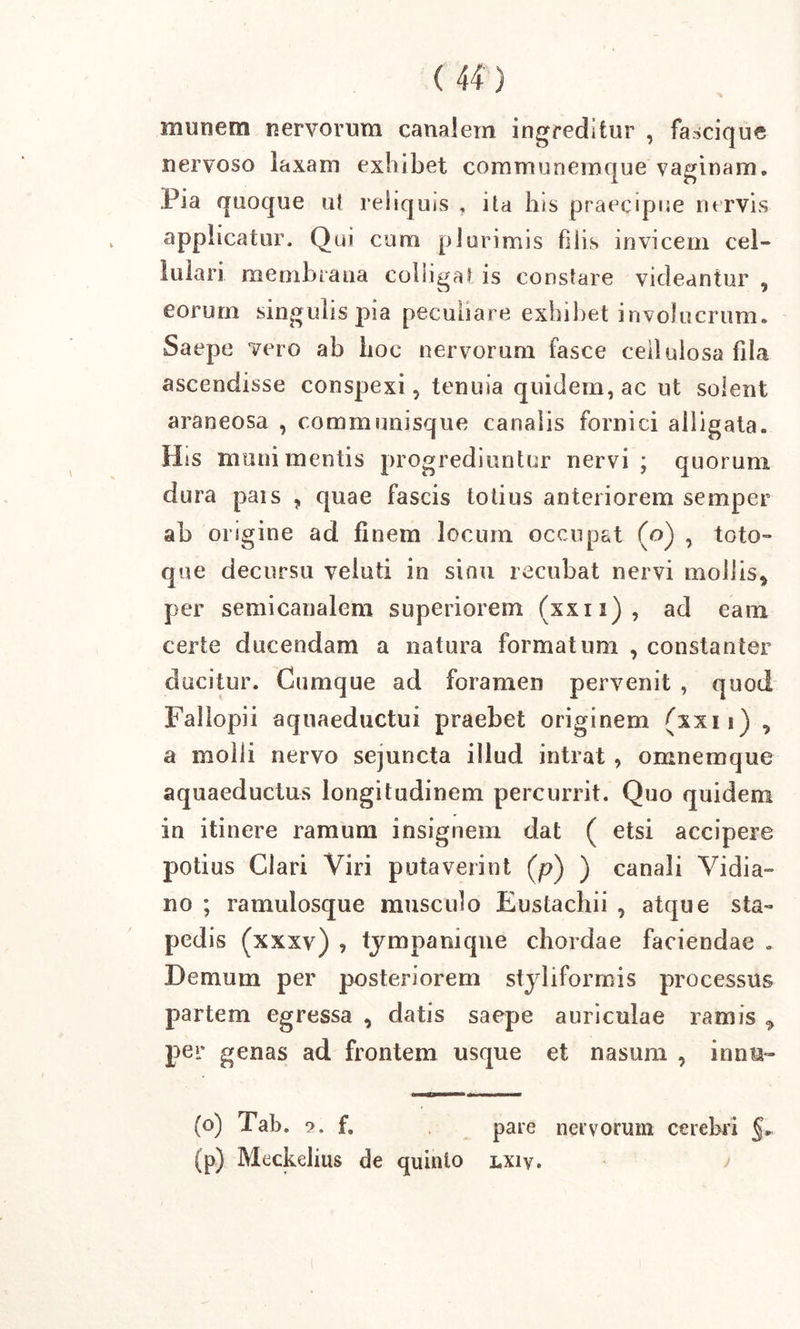 munem nervorum canalem ingreditur , fascique nervoso laxam exhibet coramunemque vaginam» Pia quoque ul reliquis f ita his praecipue nervis applicatur. Qui cum plurimis filis invicem cel- lulari membrana coliigat is constare videantur , eorum singulis pia peculiare exhibet involucrum» Saepe vero ab boc nervorum fasce cellulosa fila ascendisse conspexi, tenuia quidem, ac ut solent araneosa , communisque canalis fornici alligata. His munimentis progrediuntur nervi; quorum dura pais ? quae fascis totius anteriorem semper ab origine ad finem locum occupat (o) , toto- que decursu veiuti in sinu recubat nervi mollis* per semicanalem superiorem (xxn), ad eam certe ducendam a natura formatum , constanter ducitur. Cumque ad foramen pervenit , quod Failopii aquaeductui praebet originem (xxii) , a molli nervo sejuncta illud intrat , omnemque aquaeductus longitudinem percurrit. Quo quidem in itinere ramum insignem dat ( etsi accipere potius Clari Viri putaverint (p) ) canali Vidia- no ; ramulosque musculo Eustacliii , atque sta- pedis (xxxv) , tympamqne chordae faciendae . Demum per posteriorem styliformis processus partem egressa * datis saepe auriculae ramis * per genas ad frontem usque et nasum , innu- (o) Tab. •?. f, pare nervorum cerebri §» (p) Meckelius de quinto LXiy. j