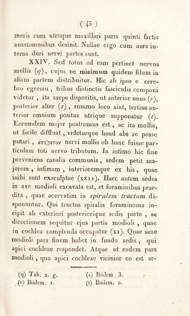 tueris cum utroque maxillari paris quinti factis anastomosibus desinit. Nullae ergo cum aure in- terna duri nervi partes sunt. NN1N . Sed totus ad eam pertinet nervus mollis (&lt;7), cujus ne minimum quidem filum in aliam partem distribuitur. Hic ab ipso e cere- bro egressu , tribus distinctis fasciculis componi videtur , ita saepe dispositis* ut anterior unus (r), posferior alter (s) , summo loco sint, tertius an- terior omnium positus utrique supponatur (Q„ Eorumdem major postremus est , ac ita mollis, ut facile diffluat , videturque haud abs re posse putari , £7rt^grov nervi mollis ob hanc fuisse par- ticulam toti nervo tributum. In intimo hic fine perveniens canalis communis , sedem petit ma- jorem , infimam , interioremque ex his, quae inibi sunt exsculptae (xxij). Haec autem sedes in axe modioli excavata est, et foraminibus prae- dita , quae acervatim in spiralem tractum di- sponuntur. Qui tractus spiralis foraminosus in- cipit ab exteriori posteriorique sedis parte , ac directionem sequitur ejus partis modioli , quae in cochlea complenda occupatur (xt). Quae sane modioli pars finem habet in fundo sedis , qui apici cochleae respondet. Atque ut eadem pars modioli , quo apici cochleae vicinior eo est ar- ✓ (q) Tab. 2. g. (r) Ibidem, 1, (s) Ibidem. 3. (t) Ibidem, 2.