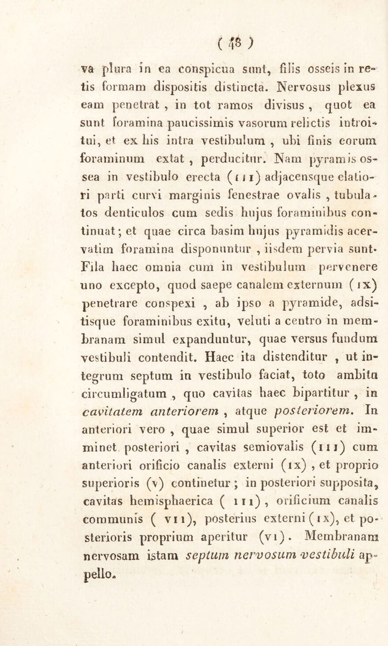 va- plura in ea conspicua sunt, filis osseis in ro- tis formam dispositis distincta. Nervosus plexus eam penetrat , in tot ramos divisus , quot ea sunt foramina paucissimis vasorum relictis introi-* tui, et ex his intra vestibulum , ubi linis eorum foraminum extat , perducitur. Nam pyramis os- sea in vestibulo erecta ( u i) adjacensque elatio- ri parti curvi marginis fenestrae ovalis tubula- tos denticulos cum sedis hujus foraminibus con- tinuat; et quae circa basim hujus pyramidis acer- valim foramina disponuntur , iisdem pervia sunt* Fila haec omnia cum in vestibulum pervenere uno excepto, quod saepe canalem externum ( ix) penetrare conspexi , ab ipso a pyramide, adsi- tisque foraminibus exitu, veluti a centro in mem- branam simul expanduntur, quae versus fundum vestibuli contendit. Haec ita distenditur t ut in- tegrum septum in vestibulo faciat, toto ambitu circumligatum , quo cavitas haec bipartitur , in cavitatem anteriorem , atque posieiiorem. In anteriori vero , quae simul superior est et im- minet posteriori, cavitas semiovalis (i s i) cum anteriori orificio canalis externi (ix) , et proprio superioris (v) continetur ; in posteriori supposita, cavitas hemisphaerica ( 111), orifcium canalis communis ( vn), posterius externi ( ix), et po- sterioris proprium aperitur (vi). Membranam nervosam istam sepium nervosum vestibuli ap- pello*