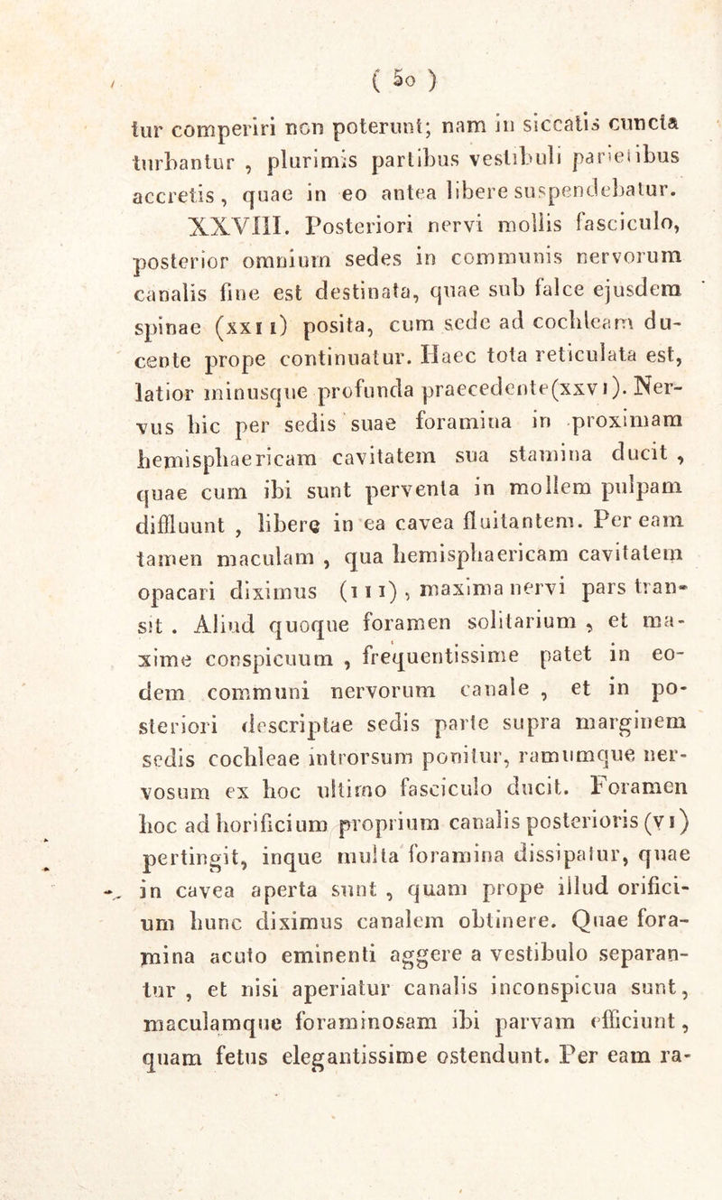 fi Jte' X ( 30 ) iur comperiri non poterunt; nam in siccatis cuncta turbantur , plurimis partibus vestibuli parietibus accretis, quae in eo antea libere suspendebatur. XXVIII. Posteriori nervi mollis fasciculo, posterior omnium sedes in communis nervorum canalis line est destinata, quae sub falce ejusdem spinae (xxi i) posita, cum sede ad cochleam du- cente prope continuatur. Haec tota reticulata est, latior in in usque profunda praeccdente(xxv i). Ner- vus liic per sedis suae foramina in proximam hemisphaericam cavitatem sua stamina ducit , quae cum ibi sunt perventa in mollem pulpam diffluunt , libere in ea cavea fluitantem. Peream tamen maculam , qua hemisphaericam cavitatem opacari diximus (i 11) , maxima nervi pars tran- sit . Aliud quoque foramen solitarium , et ma- xime conspicuum , frequentissime patet in eo- dem communi nervorum canale , et in po- steriori descriptae sedis parte supra marginem sedis cochleae introrsum ponitur, ramumque ner- vosum ex lioc ultimo fasciculo ducit, horamen Iioc adhorificium proprium canalis posterioris (y i) pertingit, inque multa foramina dissipatur, quae in cavea aperta sunt , quam prope iilud orifici- um hunc diximus canalem obtinere. Quae fora- mina acuto eminenti aggere a vestibulo separan- tur , et nisi aperiatur canalis inconspicua sunt, maculamque foraminosam ibi parvam efficiunt, quam fetus elegantissime ostendunt. Per eam ra-