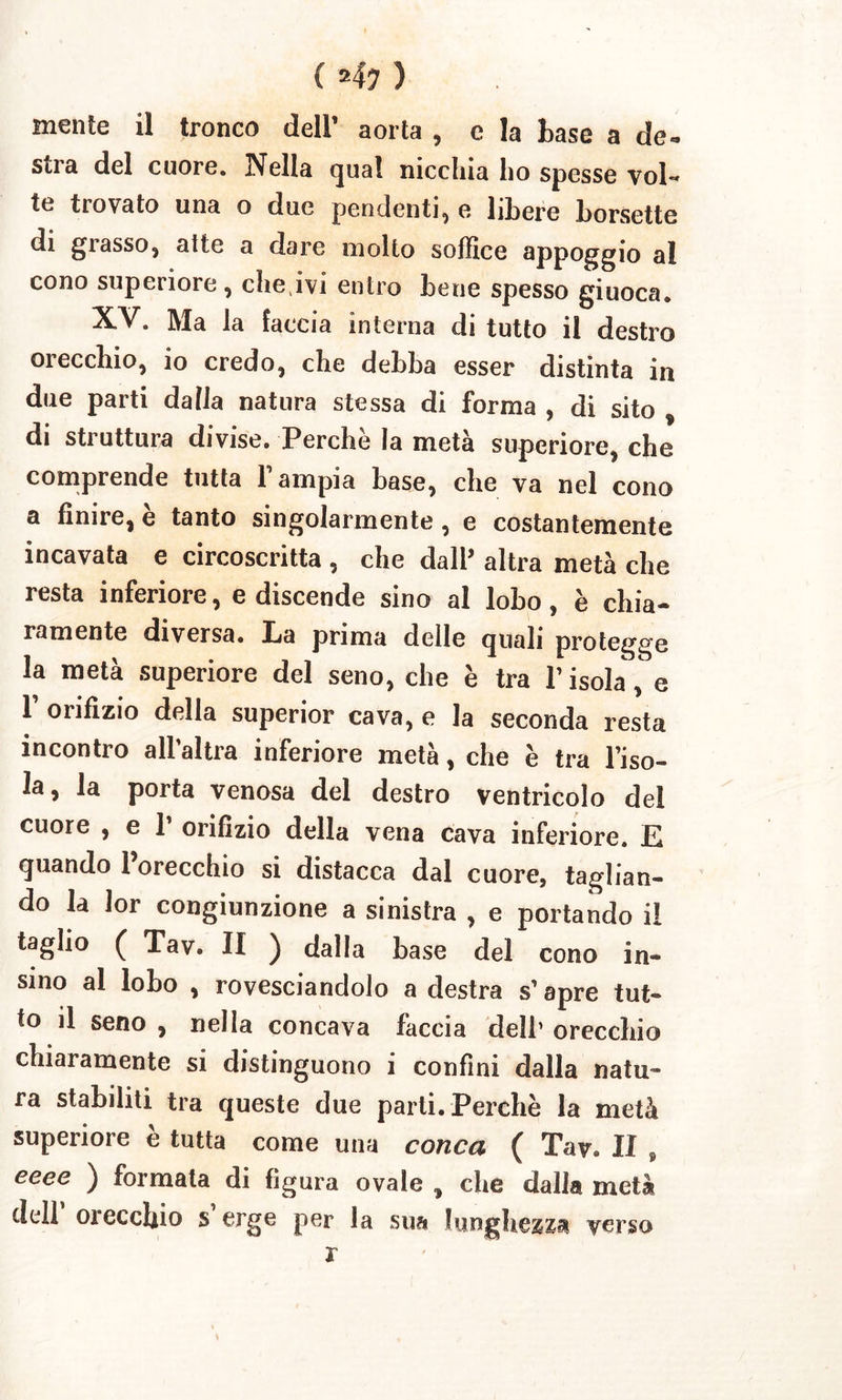 mente il tronco dell’ aorta , e la base a de. stra dei cuore. Nella qual nicchia lio spesse vol- te trovato una o due pendenti, e libere borsette di grasso, atte a dare molto soffice appoggio al cono superiore, che ivi entro bene spesso giuoca. XV. Ma la faccia interna di tutto il destro orecchio, io credo, che debba esser distinta in due parti dalla natura stessa di forma , di sito , di struttura divise. Perche la meta superiore, che comprende tutta Fampia base, che va nel cono a finire, e tanto singolarmente, e costantemente incavata e circoscritta , che dalF altra meta che resta inferiore, e discende sino al lobo, e chia- ramente diversa. La prima delle quali protegge la meta superiore dei seno, che e tra Fisola, e 1 onfizio della superior cava, e la seconda resta incontro alfaltra inferiore meta, che e tra Fiso- la, la porta venosa dei destro ventricolo dei cuore , e 1’ orifizio della vena cava inferiore. E quando 1 orecchio si distacca dal cuore, taglian- do la lor congiunzione a sinistra , e portando il taglio ( Tav. II ) dalla base dei cono in- sino al lobo , rovesciandolo a destra s' apre tut- to il seno , nella concava faccia dell’ orecchio chiaramente si distinguono i confini dalla natu- ra stabiliti tra queste due parti. Perche la meta superiore e tutta come una conca ( Tav. II , eeee ) formata di figura ovale , che dalla metis dell orecchio s erge per la sua lunghezza verso r