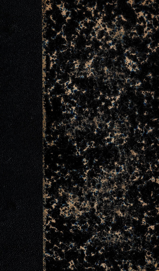 digitised image 1