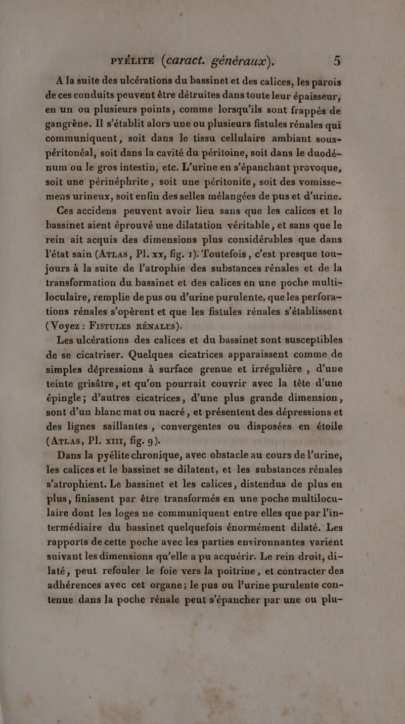 À la suite des ulcérations du bassinet et des calices, les parois de ces conduits peuvent être détruites dans toute leur épaisseur, en un ou plusieurs points, comme lorsqu'ils sont frappés de gangrène. Il s'établit alors une ou plusieurs fistules rénales qui communiquent, soit dans le tissu cellulaire ambiant sous- péritonéal, soit dans la cavité du péritoine, soit dans le duodé- num ou le gros intestin, etc. L’urine en s’épanchant provoque, soit une périnéphrite, soit une péritonite, soit des vomisse- mens urineux, soit enfin des selles mélangées de pus et d'urine. Ces accidens peuvent avoir lieu sans que les calices et le bassinet aient éprouvé une dilatation véritable, et sans que le rein ait acquis des dimensions plus considérables que dans l'état sain (Arzas, PI. xx, fig. 1). Toutefois, c’est presque tou- jours à la suite de l’atrophie des substances rénales et de la transformation du bassinet et des calices en une poche multi- loculaire, remplie de pus ou d’urine purulente, que les perfora- tions rénales s’opèrent et que les fistules rénales s’établissent (Voyez : FISTULES RÉNALES). Les ulcérations des calices et du bassinet sont susceptibles : de se cicatriser. Quelques cicatrices apparaissent comme de simples dépressions à surface grenue et irrégulière , d’une teinte grisâtre, et qu'on pourrait couvrir avec la tête d'une épingle; d’autres cicatrices, d’une plus grande dimension, sont d’un blanc mat ou nacré , et présentent des dépressions et des lignes saillantes | convergentes ou disposées en étoile (Arzas, PI. xr1r, fig. 9). Dans la pyélite chronique, avec obstacle au cours de l’urine, les calices et le bassinet se dilatent, et les substances rénales s’atrophient. Le bassinet et les calices, distendus de plus en plus, finissent par être transformés en une poche multilocu- laire dont les loges ne communiquent entre elles que par l’in- termédiaire du bassinet quelquefois énormément dilaté. Les rapports de cette poche avec les parties environnantes varient suivant les dimensions qu’elle a pu acquérir. Le rein droit, di- laté, peut refouler le foie vers la poitrine, et contracter des adhérences avec cet organe; le pus ou lurine purulente con- tenue dans la poche rénale peut s’épancher par une ou plu-