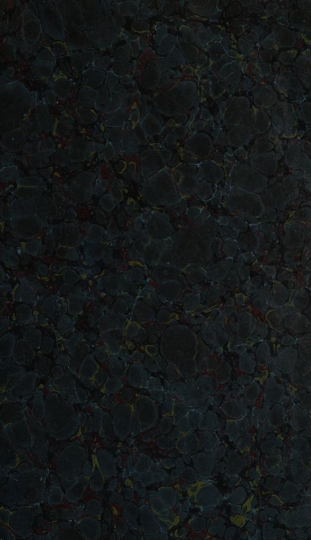 digitised image 3