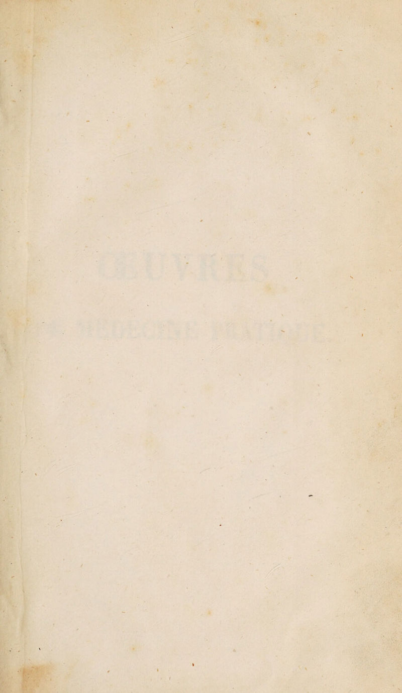 k “ ta ' i:' » 'I I i' J ÿ- '-t .y-^ , ■ '\. 'i .VV ;'v:7^”::y^ k: • 'V» - •■ ; i- ,f \ t .*■ &gt; 1* •' »K&gt;- ■ .-V . -&gt;t- 5 ■?■ '.\3 'i ^ \, t  ? .-• i. fT. ■ • i*- '■ -f • . &gt; s-'c \ y ? k; /  y I t / •• J / X w’tl J* &lt;7*1^ ■h ^ ■ -y i • yj! Æ' -i [ •1 &gt;♦ •■'.• I