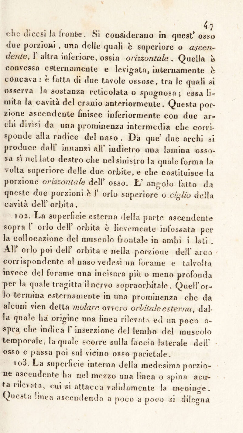 r!ie dïcesi ia froîite. Si cousideraiio în quest’osso due porzIo»i , una dellc quali ë superlore o ascen^ dente, 1 altra inferiore, ossia orizzontale . Quella h convessa eîliernameiîte e levjgata, luternarneute ë cOncava : e fatta di due tavole ossose, tra le quali si osserva la sostauza reticolata o spugnosa ; essa li- mita la cavità del cranio auteriormeute. Questa por- zione ascendente finisce inferlormente coo due ar- chi divisi da una promioenza intermedia che corri» sponde alla radice de! naso . Î3a que’ due arciii si produce dall innanzi ail indietro una lamina osso- sa SI ne! lato destro che nelsmistro la quale forma la volta soperiore delle due orbite., e che costitui&ce la porzione orizzontale dell’ osso. t’ angolo fatto da queste due porzioni ë F orlo soperiore o ci^lio délia cavità delF orbita. 102. La superficie esterna délia parte ascendente sopra 1 orlo dell orbita e lievemente infosisata per la collocazione de! miiscolo frontale in ambi i lati , Ali orlo poï dell orbita e nella porzione delF arco corrispondente al nasovedesi un forame e talvolia mvece del forame una incisura pin o meno profonda per la quale tragltta il nervo sopraorbitale . Quel!’or- lo termina esternamente in una prominenza che da aîcuni vien detta Tnolare ovvero orbitale esterna, dal- la quale ha origine una linea riîerara ed un poco a- spra che mdica F inserzione del lembo del museolo temporale, la quale scorre sulla faccia latérale delF • osso e fiassa poi sul vicino osso pariétale. 103. La superficie interna délia medesima porzio- • ne ascendente ha neî mezzo una hnea o spiaa acu- ta rilevata, cm si attacca validamente la méningé. Questa lînea ascendendo a poco a poco si dilegua