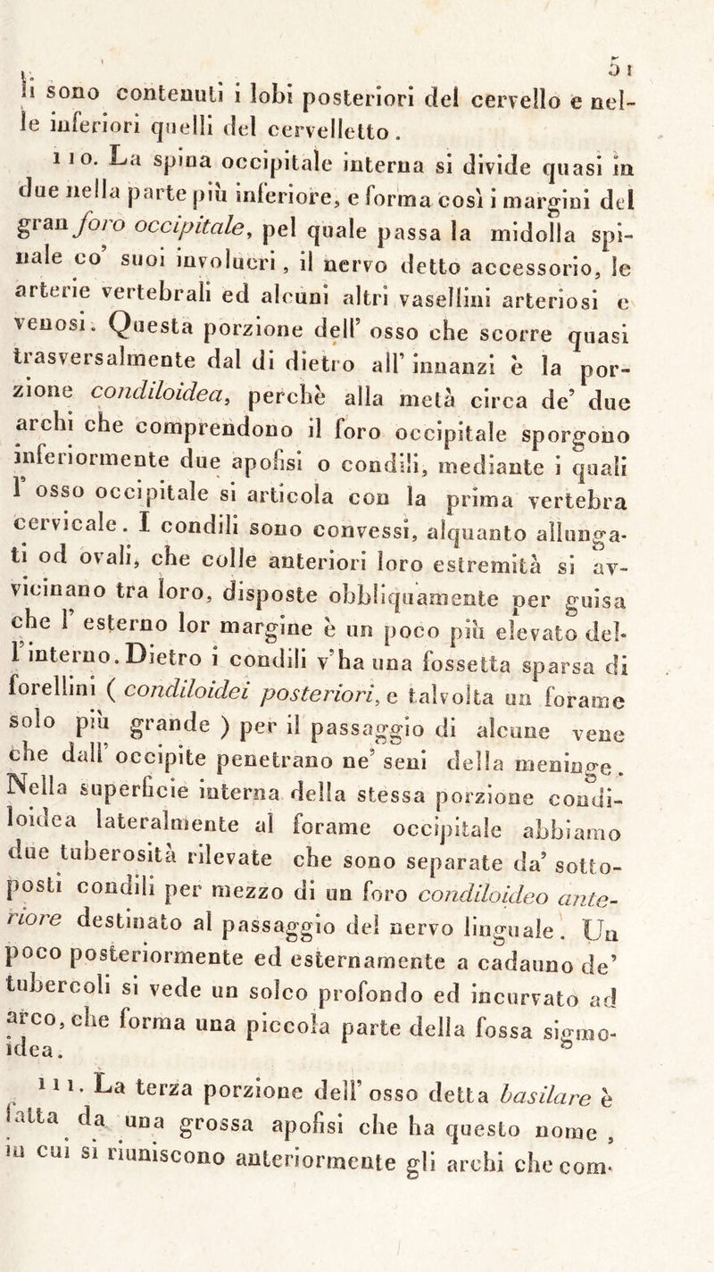 Si sono conteuuli i lobi posteriori de! cervello e nel- le ijiferiori qnelli del cervelletto. 110. La spioa occipitale interna si divide quasi in due nella parte piii inleriore, e forma cosi i margini del granybro occipitale^ pel quale passa la midolla spi- nale CO suoi mvolucri, il ncrvo dette accessorio, le arterie vertebraii ed alcuni altri vasellini arteriosi e venosi. Questa porzione dell’ osso che scorre quasi trasversalrnente dal di dietro ail’ innanzi è la por- zione condiloidea, perche alla meta circa de’ due archi che comprendono il foro occipitale sporgono inferiormente due apofisi o condiîi, mediante i quali 1 osso occipitale si articola con la prima vertebra ceivicale. I condili sono convessi, alquanto allunga- ti od ovali, che colle anteriori loro estremità si av- vicinano tra toro, disposte obblîquamente per guisa che 1 esterno lor margine e un poco pia elevato deh 1 interno.Dietro i condili v’ha iina lossetta sparsa di ioYtWmi { condiloidei posteriori, q ialvolta un foraœe solo piu grande ) per i! passaggio di alcone vene che dall occipite penetrano ne’seni délia méningé. Nella superficie interna délia stessa porzione coodi- loidea lateralmente al foraine occipitale abbiamo due tuberosita rilevate che sono separate da’sotto- posti condili per mezzo di un foro condiloideo ante- rioTe destinato al passaggio del nervo linguale. Un. poco posteriormente ed esternamente a cadauno de’ tubercoh si vede un solco profondo ed incurvato ad arco,che forma una piccoîa parte délia fossa sigmo- H I. La terza porzioue dell’ osso detta hasilare è ialta da una grossa apofisi che ha qiiesto nome , lu cui si riuniscono anteriormente gli archi checom-’