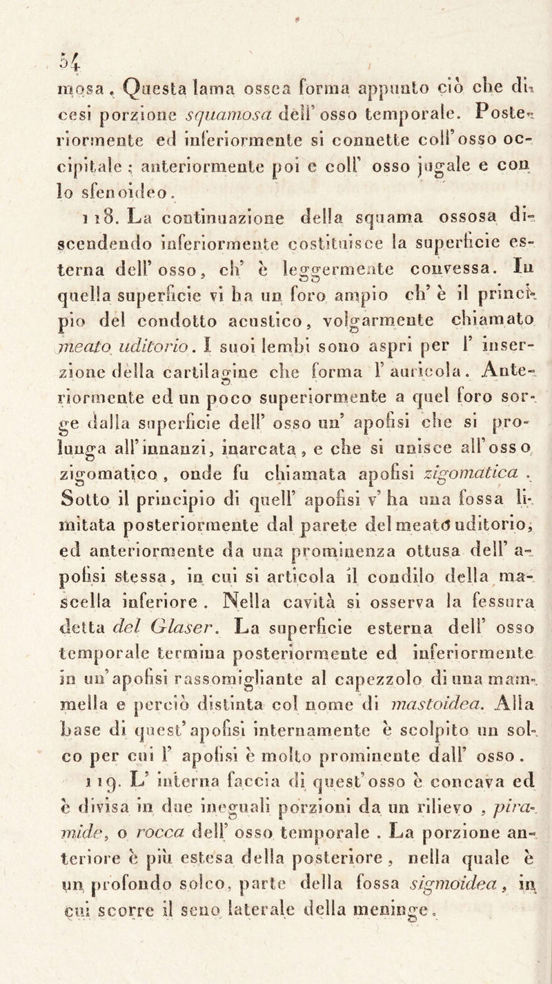 (♦ 54 iriosa, Qiiesla lama ossea forma appimlo cio clie cVh cesi porzionc s quamo s a àoW o^so temporale. Poster riormente ed iiileriormeoie si connette coii’osso oc- cipitale ^ anteriormeute pol e colF osso jagale e con lo sfeooideo. 1 î8. La coiîtlniiazioee délia sqaama ossosa di- scendendo iaferiormente costitaisce la superhcie es- teriîa dcU’osso, ch’ e leo^o’ermente coiivessa. lu qaella superficie vl ha un foro ampio ch’ è il pruick pio del condotto acustico, volgarmeute chiaraato Vieato^ iiditorio. I suoi iembi sono aspri per 1’ iuser- zioiic délia cartila^ine che forma i’auiieola. Ante- rjoriiieute ed un poco superiormente a quel foro sor- ge dalla superficie delf osso un’ apofisi che si pro- lüuga all’innanzi, ioarcata, e che si uoisce alfosso^ zigomatico , onde fu chiamata apofisi zigomatica . Sotto il prlucipio di quelf apofisi v’ ha una fossa h* mitata posteriormente dal parete del meat(5 uditorioj ed anteriormeute da una prominenza ottusa delf a- polisi stessa, in cul si articola il condilo délia ma- scella inferiore . Nella cavità si osserva la fessura delta del Qlaser. La superficie esterna delf osso temporale termina posteriormente ed inferiormente in uo’apohsî rassoraigîiante al capezzolo dlunamam-. meila e percio dislinta col nome di mastoidea. Alla base di quest’apofisi internamente h scoîpito un sok co per cni i’ apohsi ë molto prominente dalf osso . 1 iq. L’ interna faccia di qiiest’osso ë concava ed ë divisa iii due ineguali porzioui da un rilievo , pira-, mide, o rocca delf osso temporale . La porzione an- terlore ë piii estesa délia posteriore, nella qiiale ë un, profoudo solco, parte délia fossa sigmoidea, in cul scorre il seuo^ latérale délia méningé.