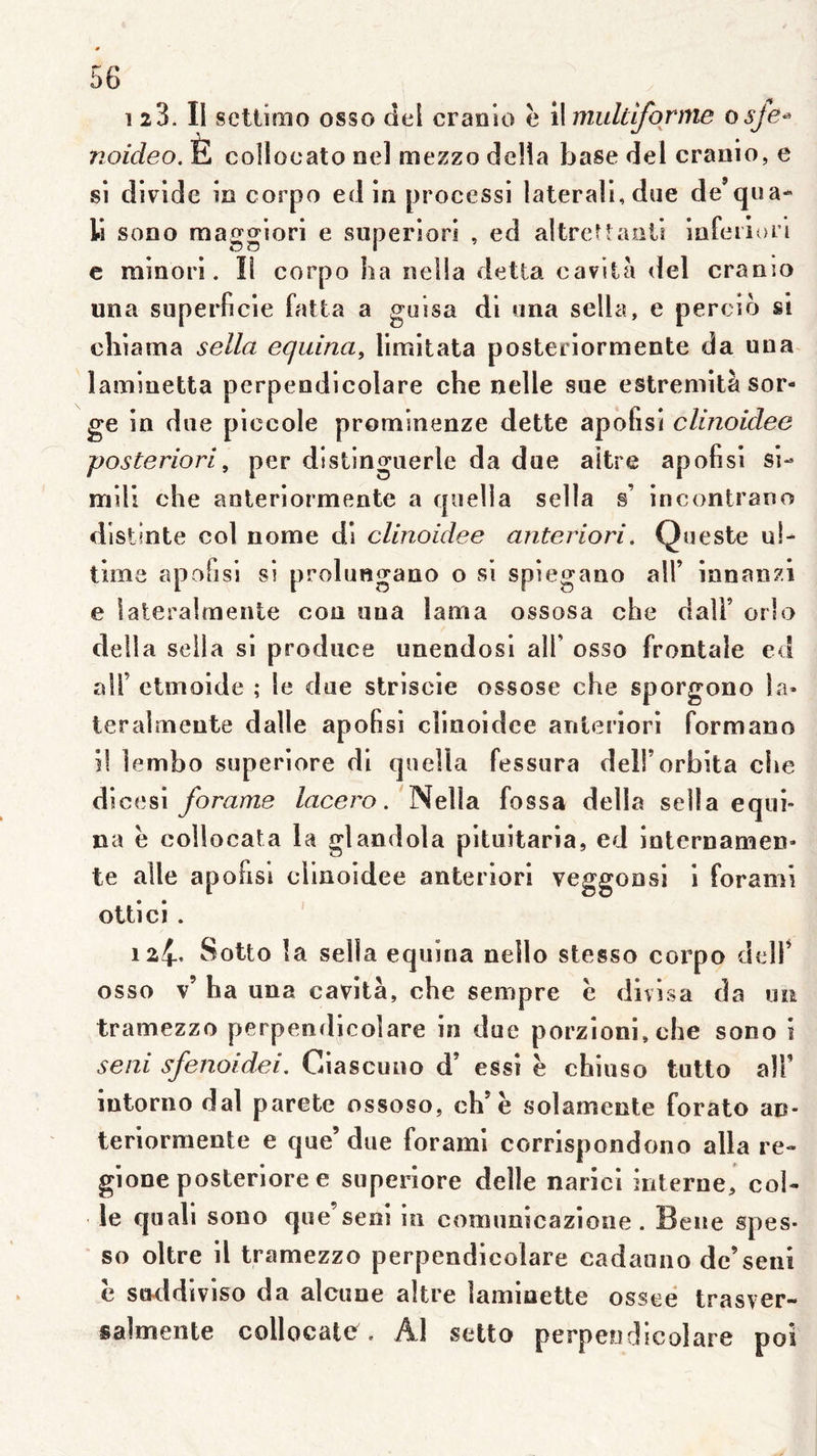 12 3. Il scUimo osso ciel cranlo è il multiforme osje^ noideo. E collocato ne] mezzo délia base del cranio, e si divlde in corpo ed in processi latéral!, due de’qiia- li sono maggiori e superion , ed altrettaaii inferi orl c minori. Il corpo ha nella detta cavita del cranio una superficie fatta a guisa di lina sella, e percio si clîiama sella equina, limitata posteriormente da una- laminetta perpendicolare che nelle sue estreniità sor- ge in due piccole prominenze dette apoGsî cUnoidee posteriori, per distingiierle da due aitre apofisi si- mili che aoteriormente a cjiiella sella §’ incontrano distinte col nome d! clinoidee anteriori. Queste ul- time apofisi si prolungano o si spiegano alf innan^l e laterairnente con una lama ossosa che dalF orlo délia sella si produce unendosl alf osso frontale ed alf ctmoide ; le due striscie os^sose che sporgono la» ieralmente dalle apofisi clinoidee anteriori formano il lembo superiore di qnella fessura delforbita che dicesi forame lacero, Nella fossa délia sella equh na e coliocata la glandola pituitaria, ed internamen» te aile apofisi clinoidee anteriori veggonsi 1 forami ottici . 124* Sotto la sella equina nello stesso corpo delf osso v’ ha una cavità, che sempre è divisa da un tramezzo perpendicolare in due porzioni,che sono i seul sfenoidei, Ciascuno d’ essi e chiuso tutto alf intorno dal parete ossoso, ch’è solamente forato an- teriormente e que’due forami corrispondono alla re- gione posterlore e superiore delle narici interne, col- le quali sono que’seni in cooiunicazione. Bene spes- ■ so oltre il tramezzo perpendicolare cadauno dc’seiii e snddiviso da alciine aitre lamioette osseë trasver- salmente collocate^, Al setto perpendicolare poi