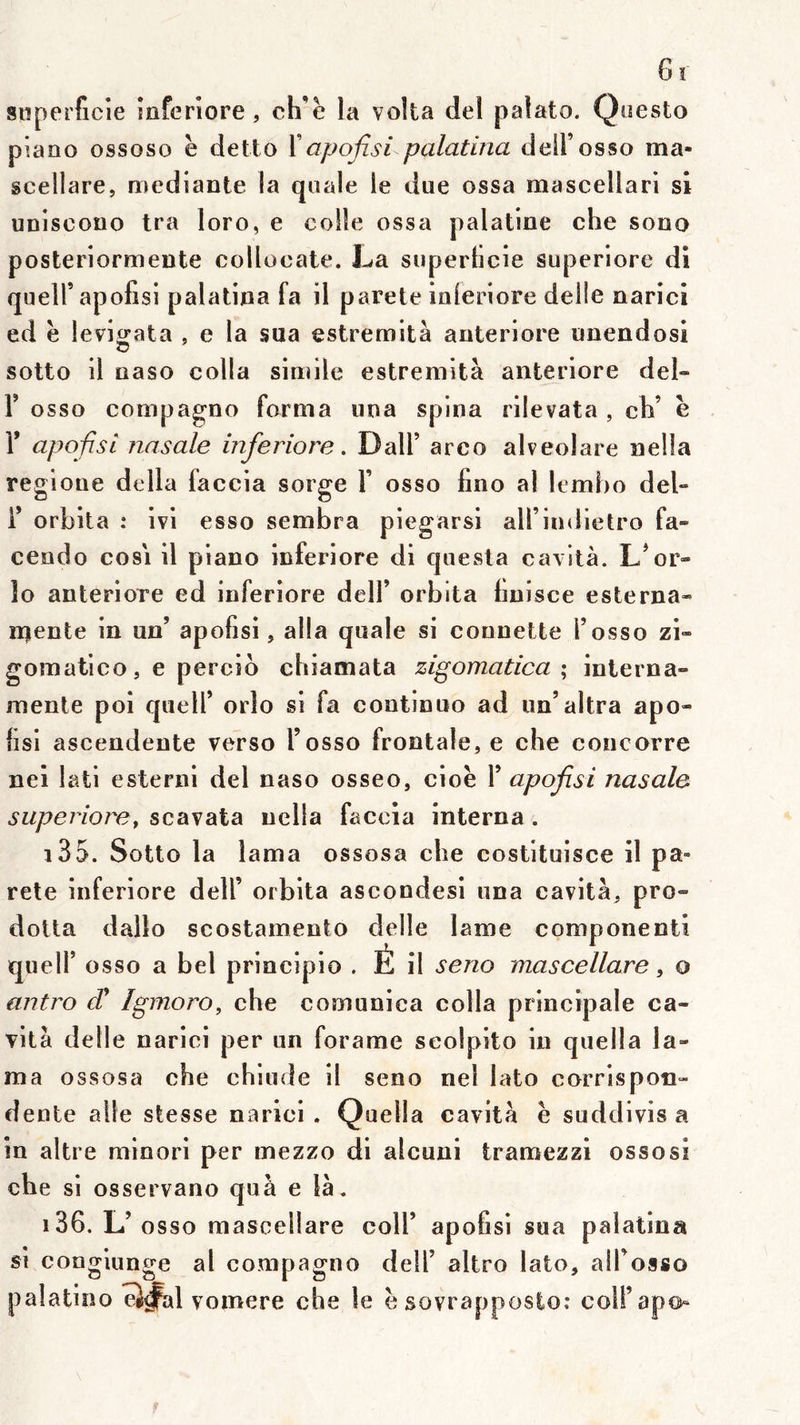 6 î superficie iaferiore, ch’e la volta del palato. Questo piaQO ossoso ë detto ïapofisi palatina deil’osso ma- scellare, mediante la qoale le due ossa mascellari si uniscono Ira loro, e colle ossa palatine che sono posteriormente collocate. La superficie superiore di qucU’apofisi palatina fa il parete iuleriore delle naricl ed ë levifj^ata , e la sua estremità anteriore unendosi O sotto il naso colla simile estremità anteriore del- r osso compagno forma iina spina rilevata , cfi’ ë r apofisL nasale inferiore. Dali’ arco alveolare nella regioue délia faccia sorge Y osso fmo al lemho del- Y orbita : ivi esso sembra piegarsi ali’iudietro fa- cendo cosi il piano inferiore di questa cavità. L’or- lo anteriore ed inferiore dell’ orbita finisce esterna- rqente in un’ apofisi, alla quale si connette T osso zi» gomatico J e percio chiamata zigomatica ; interna- mente poi quell’ orlo si fa contlnuo ad un’altra apo- fisi ascendente verso l’osso frontale, e che concorre nei lati esterni del naso osseo, cioë Y apofisi nasale superiore, scavata nella faccia interna. 135. Sotto la lama ossosa che costituisce il pa- rete inferiore dell’ orbita ascondesi una cavità, pro- dotta dallo scostarnento delle lame componentî queir osso a bel principio . É il sejio mascellare ^ o antro (î Igmoro, che comunica colla principale ca- vità delle narici per un forame seolpito in quella la- ma ossosa che chiude il seno nel lato corrispon» dente aile stesse narici. Quella cavità ë suddivis a in altre rainori per mezzo di alcuni tramezzi ossosi che si osservano quà e là. 136. L’ osso mascellare coll’ apofisi sua palatina si congiunge al compagno dell’ altro lato, all’osso palatino ei^l vomere che le ë sovrapposio: coll’apo^
