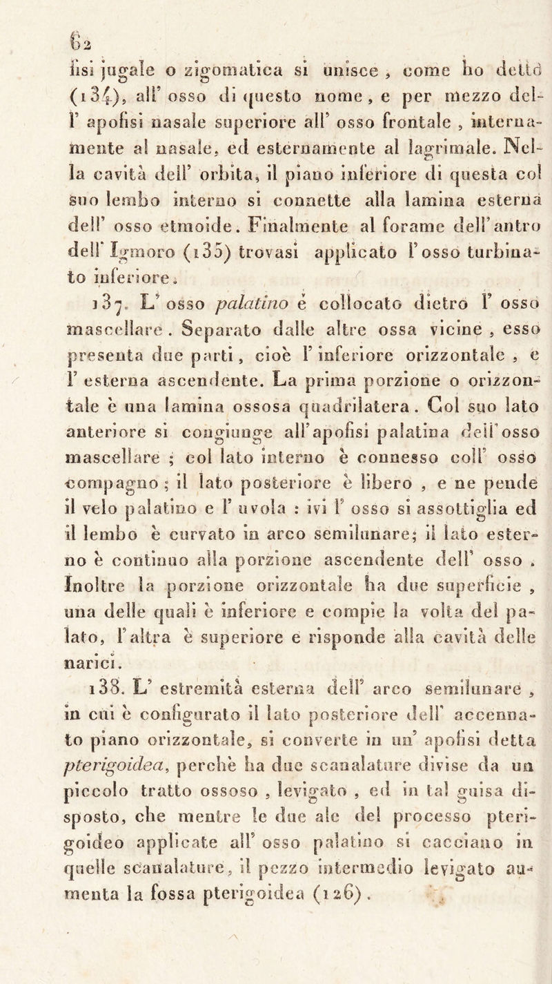 iisi jugaîe o zigomalica si unSsce ^ corne ho detld (i34)j air osso dl ([uesto nome , e per mezzo dcl- F apofisi nasale soperiore ail’ osso frontale , intenia- mente al nasale, ed esternarncnte al lagrimale. Nch la cavità deil’ orbita, il piano inleriore di qoesta col Siio lembo interao si coanette alla lamina esterna deir osso etmoide. Finalmente al forame delFantro deil Igmoro (i35) trovasi appücato F osso turbina» to ïiiferiore. ]3^. osso palatino é collocato dietro F osso mascellare . Separato dalle altre ossa vicine , esso présenta doe parti, cioè F ioferiore orizzoritale , e F esterna ascendeute. La prima porzione o orizzon» taie è iina lamina ossosa qoadrilatera. Col suo lato anteriore si coagiuoge alFapofisi palatina delFosso mascellare ; col lato interuo e connesso colF osso compagîio ; il lato posteriore è libero , e ne pende il vélo palatino e F uvola : ivi F osso si assottigiia ed il lembo e curvato io arco semilimare; il lato ester» no ë continuo alla porzione ascendeote delF osso . Inoitre la porzione orizzontale îia due soperheie , una delle quali ë Inferiore e eompie la volta de! pa- lato, Faltra ë superiore e risponde alla cavità delle narici. i38. L’ estremità esterna delF arco semiiuoare , in cuî ë conhgiiralo il lato posteriore delF acceona» to piano orizzontale, si couverte io un’ apohsi detta pterigoidea, perche ha due scanalatare divise da un piccolo tratto ossoso , levigato , ed in tal guisa di- sposto, elle mentre le due aie del processo pteri» goideo applicate alF osso palatino si cacciauo iii quelle scaitalature, il pezzo iotermedlo levigato au- menta la fossa pterigoidea (126).