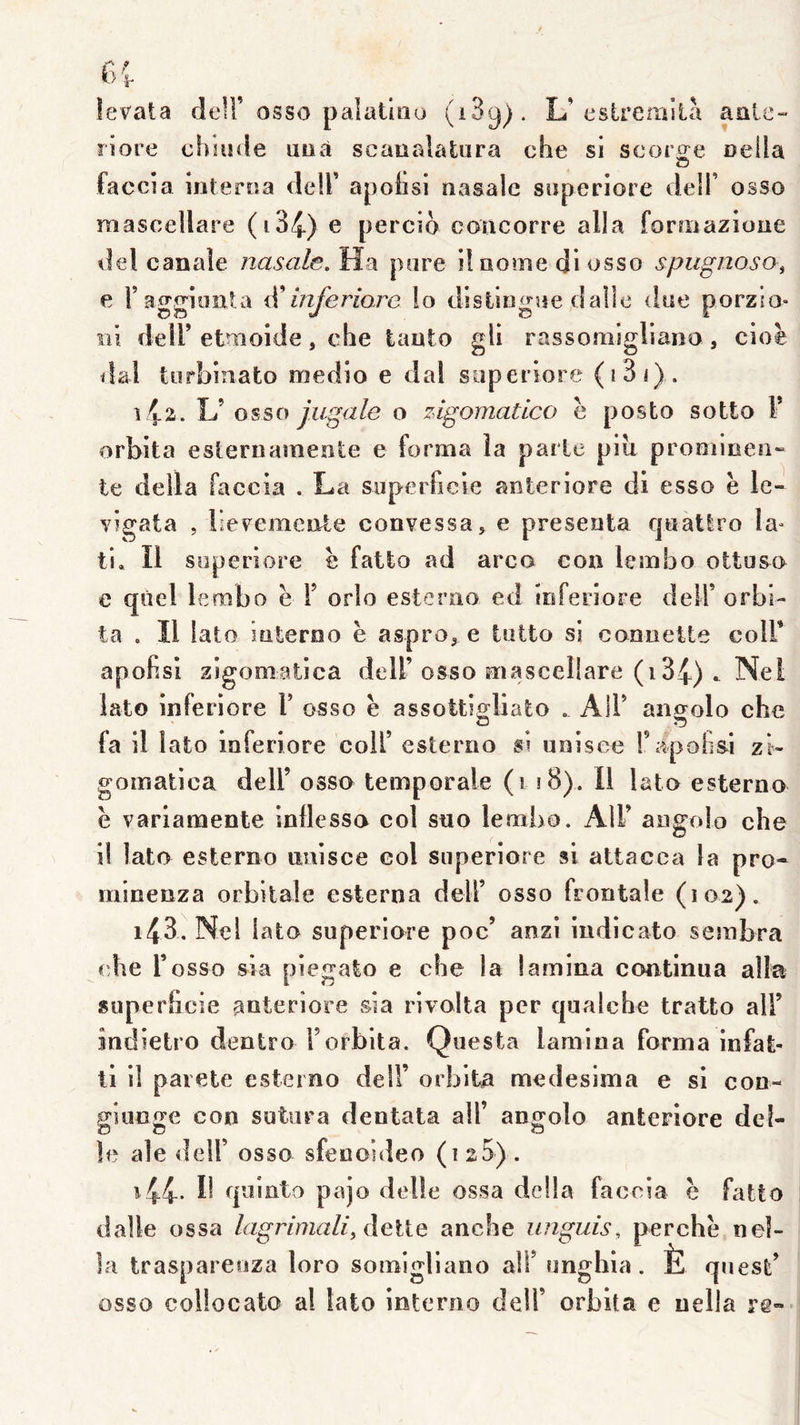 levata delf osso palatino (iSg). L’eslremilà aale- riore chuîde uüà scaualatara c!ie si scorie oella G faccîa inlerca clelF apolisi nasale snperiore delT osso niascellare (i34) e percio coacorre alla forriiazioue del canale nasale. Ha pare il nome di osso spugnoso^ e raçro'ioîita ^inferiare lo distla^oe dalle dae porzio» ni deir etmoide, che iaato gli rassoaiigliaao, cioè dal torbinafco medio e dal saperiore (i3i). î L’ osso j.ugale o zigomatico h posto sotto F orbita eslernaîaeale e forma la parle piii promioen» te délia faccia . La superficie anteriore di esso ë le- vigata , l’æFemciale convessa, e présenta qnatlro la- ti. Il soperiore ë fatto ad arco cou lembo ottuso e quel lembo ë F orlo esterao ed inferiore delF orbi- te . Il lato interno ë aspro, e tntto si connelte colF apofisl zîgoniatica delF osso mascellare (i34) - Nel lato iiîferiore F osso ë assottiffliato . AlF an^olo che fa il lato loferiore colF esterno si unisce Fapofisi zi- gomatica delF osso temporale (i î8). Il lato esterno ë varlamente inllesso col suo lembo. AlF angoio che 1! lato esterno nnisce col siiperiore si attacca la pro- minenza orbitale esterna delF osso frontale (102). 143. Nel lato superiore poc’ anzi iudicato sembra che F osso sia piegato e che la lamina continua alla superficie anteriore sia rivolla per qualche tratto aiF îndietro dentro F orbita. Questa lamina forma infat- ti il paiete esterno delF orbita medesima e si con- giuoge con sutura dentata alF angoio anteriore dei- le ale delF osso sfenoideo (i25) . i44' quinto pajo delle ossa délia faccia ë fatto dalle ossa lagrimaà\ delle anche unguis, perchë nel- la traspareoza loro somigliano alF unghla. È qnest’ osso collocato al lato interno delF orbita e uella re»