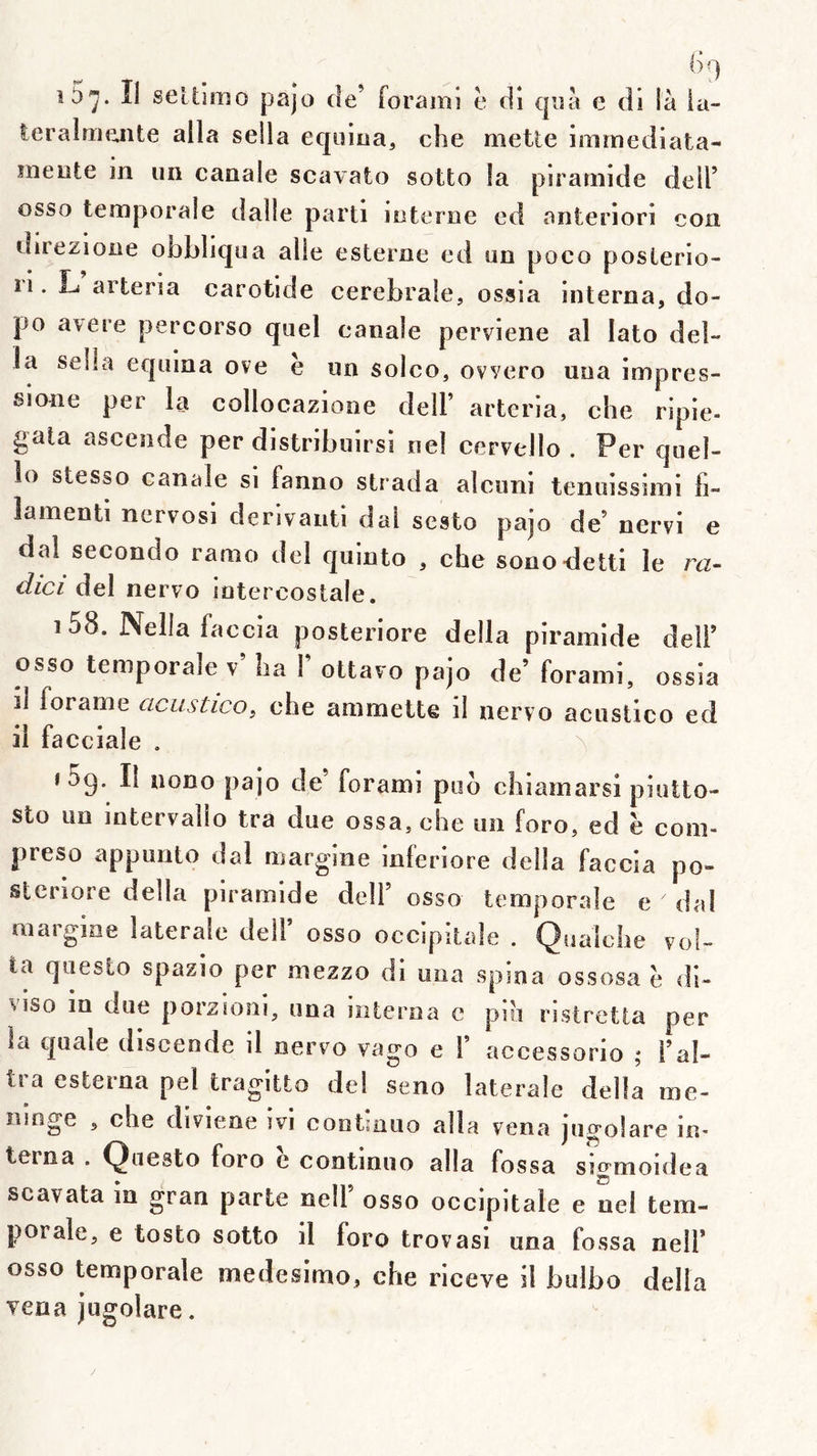 (vl î5'j. îi seltîiîio pajo de’ forami è di cjiia e di là ia- teralnie.nte alla sella equioa, che meUe immediata- mente in un canale scavato sotto la pirarnide dell’ osso temporale dalle parti interne ed anteriori coii direzione obbliqua aile esterne ed un poco poslerio- 11. Li arteria carotide cerebrale, ossia interna, do- po a\ere percorso quel canale perviene al lato dél- ia sella equina ove e un solco, ovvero una impres- slone per la collocazione dell’ arteria, che ripie- gala ascende per distribuirsi ne! cervello . Per quel- 10 stesso canale si fanno strada alcimi tenuissimi fi- lamenti nervosi derlvanti dal scsto pajo de’ nervi e dal seconde ramo del quinto , che sonodetti le ra- diai del nervo intercostale. i58. Nella faccia posteriore délia pirarnide delF osso temporale v’ ha Y ottavo pajo de’ forami, ossia ïl forame acustico^ che ammette il nervo aciistico ed 11 facciale . ^ I 5g. II noDo pajo de’ forami pob chiamarsi piutto- sto un intervallo tra due ossa, che un foro, ed è com- preso appunto dal margine inferiore délia faccia po- sleriore délia pirarnide dell’ osso temporale e dal margine latérale dell’ osso occipitale . Qualche voi- la qimslo spazio per mezzo di una spina ossosa e di- viso in due porzioni, una interna c pib ristretta per la quale discende il nervo vago e 1’ accessorio ; l’al- tia esteina pel tragitto del seno latérale délia mé- ningé , che divieoe ivi continuo alla vena jugolare in- terna . (^uesto foro e continuo alla fossa sigmoidea scavata in gran parte nell’ osso occipitale e nel tem- porale, e tosto sotto il foro trovasi una fossa nell’ osso temporale medesimo, che riceve il bulbo délia vena jugolare.