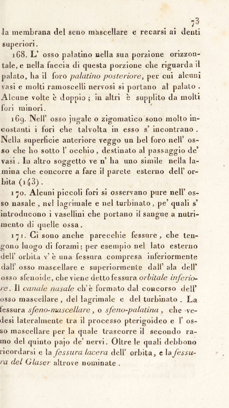 îa membrana del seao mascellare e recarsl ai denti guperiori. 168. L’ osso palatino aella sua porzioue orizzoa- tale,e nella faccia di questa porzione che riguarda il palato, ha il foro palàtino posteriore^ pec cul alcuui vasi e luolti ramosceUi nervosl si portano al palato . Alcuae volte ë Jopplo ; iu altri ë sopplito da molli fori miaorl. 169. Neir osso jogale o zigomatlco sono molto In- costanti i fori che taivolta in esso s’ incontrano . Nella superficie anteriore veggo un bel foro nelf os- so che ho sotto Y occhio, destinato al passaggio de’ vasi . In altro soggetto ve n’ ha uno simile nella la- mina che eoncorre a fare il parete esterno delF or- bita(i43). 1^0. Alcuoi piccoli fori si osservano pure nelF os- so nasale , nel lagrimale e nel turbinato, pe’ quali s’ introducOno i vasellini che portano il saugue a nutri- mento di quelle ossa. 1^1. Ci sono anche parecchie fessure , che ten- gono luogo di forami; per esempio nel lato esterno deir orbita v’ ë una fessura compresa iuferiormente dair osso raaseeilare e supcriormenle dalf ala deîF osso sfeooide, che viene dettolessura orbitale inferio- re. Il canale nasale ch’ë formato dal concorso delF osso mascellare , del lagrimale e del turbinato . La iessura sfeno-nmscellare , o sfeno-palatina , che 've- desi lateralmente tra il processo pterigoideo e Y os- so mascellare per la quale trascorre il seconde ra- mo del quinto pajo de’ nervi. Oltre le quali debbono rieordarsi e la fessura lacera delF orbita, c la fessu- ra del Glaser altrove nominale .