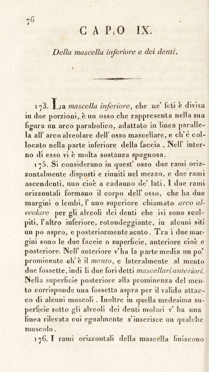 G A P.O IX. Délia mascella inferiore e dei denü. In due porzioni, ë un osso che rappresenta nella sua figura un arco parabolico, adattato in linea paralle- la air arco alveolare dell'osso masceliare^ e ch’e col- locato nella parte inferiore délia faccia . Nell’ inter- no di esso vi ë raolta sostanza spuguosa. i'j5. Si coosiderano in quest’ osso due rami oriz- zontalmente disposti e riuniti nel mezzo, e due rami ascendentij uno cioë a cadauno de’ lati. I due rami orizzontali formano il corpo dcll’ osso, che ha due inargini o iembi, F uno superiore chiamato arco al-- veolare per gli alveoli dei denti che ivi sono scol- piti, l’altro inferiore, rotondeggiante, in alcuni siti un po aspro, e posteriormente acuto. Tra i due mar- gini sono le due faccie o superficie, anteriore cioë e posteriore. Nell’anteriore v’ha la parte media un po’ promineote ch’ë il mento, e lateralmente al mento due fossette, indi li due fori detti mascellarianteriori, Nell a superficie posteriore alla prominenza de! men- to corrisponde una fossetta aspra per il vaîido attac- ço di alcuni muscoli . Inoître in quella medesima su- perficie sotto gli alveoli dei denti molari v’ ha una linea rilevata cui egualmente s’inserisce un quatche nuiscolo . 1^6.1 rami orizzontali délia mascella hniscooo