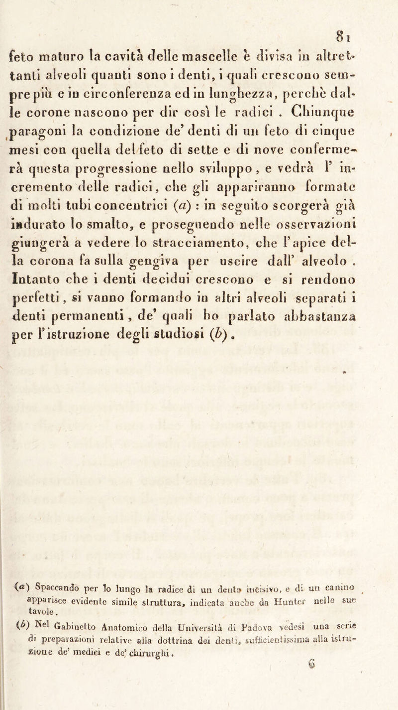 8! feto matiiro la cavità delle mascelle è divisa iü altret» tant! alveoli quanti sono i denti, i quali crescono sem- prepiu e in circohferenza edin lunghezza, perc hëdal. le corone nascono per dir cosi le radici , C4hiunque paragoni la condizione de’denti di un feto di cinque mesi con quella del feto di sette e dl nove conferme^ rà questa progresslone nello sviluppo, e vedrà Y iu- cremento delle radici, che gli appariranno formate di molli tubi concentrici (à) : in seguito scorgerà già îmdurato lo smalto, e proseguendo nelle osservazioni giungerà a vedere lo stracciamento, cbe Fapice dél- ia corona fa sulla gengiva per uscire dalf alveolo , Intanto che i denti decidui crescono e si rendono perfetti, si vanno formando in altri alveoli separati i denti permanent!, de’ quali ho parlato abbastanza per l’istruzione degli studiosi (Z>) , SpaccanJo per lo lungo la radice di un délit» incisivo, e di un canîno apparisce évidente simile slruttura, indicala anclie da Huntcr nelle sue lavole. Nel Gabinetlo Anatomico délia Üniversilà di Padova vedesi una série di prepara'z,ioni relative alla: dottrina dei denli, siiflicienîissima alla istrii- 21011 e de’ niedici e de’ ciuriirghi.
