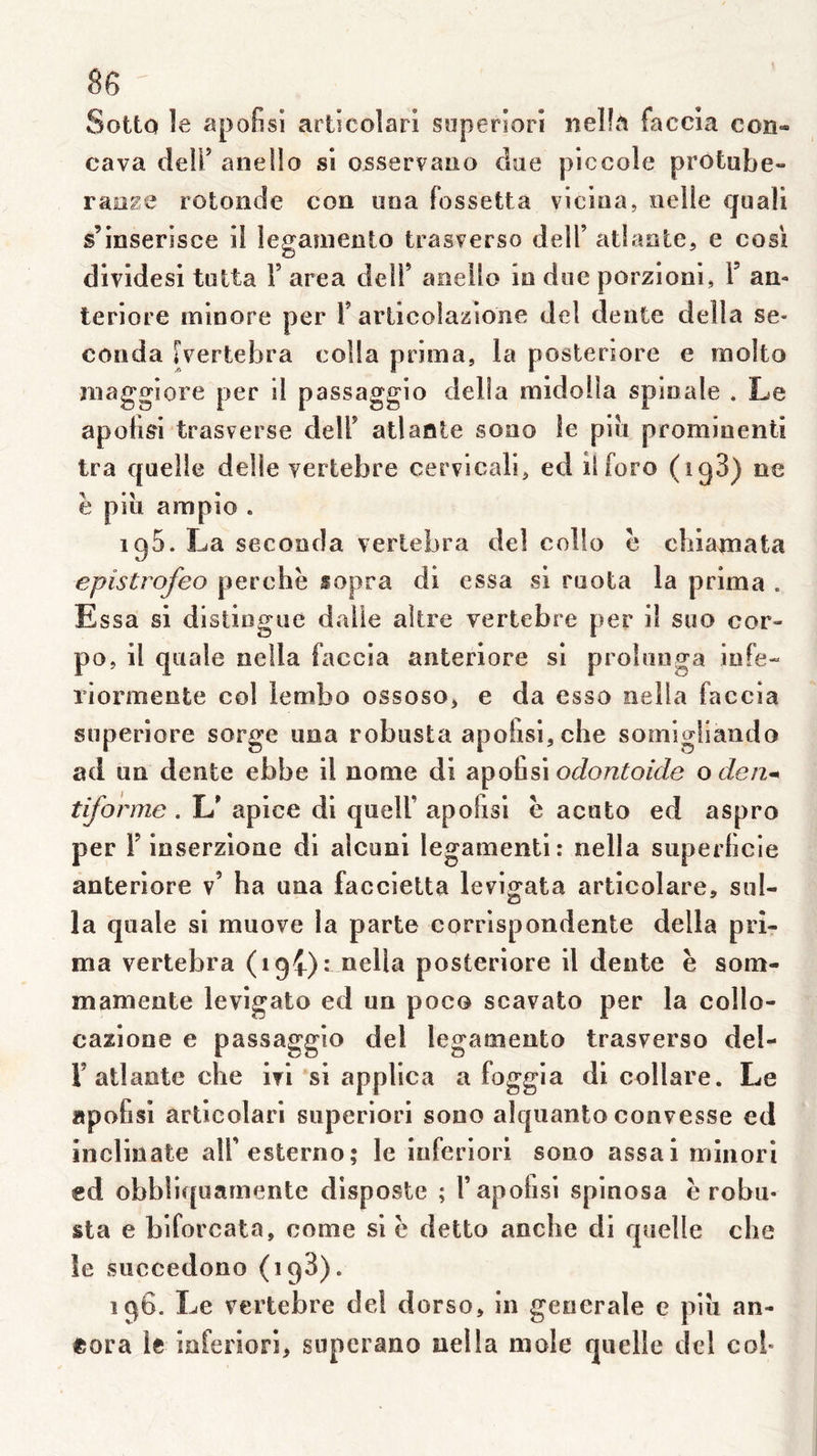 Sotto le apofisi articolari superîorî nelfa faccla con- cava deir anello si ojsservaîio dae piccole prôtube- raaze rotonde cou uoa fossetta viciaa, oelle quali s’inserisce il legauiento trasverso delT atlante, e cosi dividesi tatta F area delF aneilo io due porzioni, F an- teriore minore per F arlicolaisione del dente délia se- conda îvertebra colla prima, la posteriore e molto maggiore per il passaggio délia midolla spinale . Le apolisi trasverse delF atlante sono le pin prominenti tra quelle delle vertebre cervical!, ed ilforo (igS) ne è piîi ampio . ig5. La seconda verlebra del eollo e cbiamata epistrofeo perche fopra dl essa si ruota la prima . Essa si distingue dalle akre vertebre per i! suo cor- po, il quale nella faccia anteriore si prolunga infe- riormente col lembo ossoso^ e da esso nella faccia superiore sorge uoa robusta apo!isi,che somigliando ad un dente ebbe il nome di apofisi oden^ tiforme . L^ apice di quel!’ apofisi è acuto ed aspro per F inserzlone di alcuni legamenti: nella superficie anteriore v’ ha una faccietta levigata articolare, sul- la quale si muove la parte corrlspondente délia pri- ma vertebra (19^): nella posteriore il dente è som- mamente levigato ed un poco scavato per la collo- cazione e passaggio del legamento trasverso del- F atlante clie ivl si applica a foggla di collare. Le apofisi articolari siiperiori sono aîquanto convesse ed înclinate alFesterno; le luferiori sono assai minori ed obblic|uamentc disposte ; F apofisi splnosa è robu- sta e biforcata, corne si e detto anche dl quelle clie îe siiccedono (igS). 196. Le vertebre del dorso, in generale e piii an- gora le laferiorl, superano nella mole quelle dcl coi-