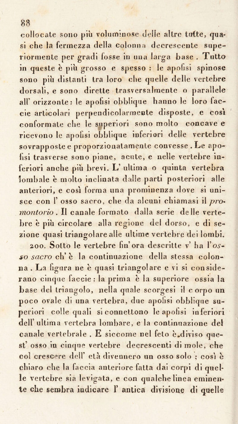 collocate sono piu volutninose ilelle altrc lotte, qua» si che la ferixiezza dell a colonna decrescente supe* riormente per gradi iosse in uua larga base . Tutto in qoeste ë plîi grosso e spesso : le apofisi spinose sono piii distanli Ira loro che quelle delle verfcebre dorsali, e sono dirette trasversalmente o parallèle air orizzonte: le apofisi obblique hanao le loro fac- cie artfcolan perpeudicolarrnente disposte, e cosi conformate che te siiperiori sono molto concave e ricevono le apohsi obbhque infenori delîe vertebre sovrappostee proporzionatamenle convesse.Le apo- fisi trasverse sono piane, aciite, e nelie vertebre in- feriorl anche plu brevl. L’ ultima o quinta vertebra îombale ë molto inclinata dalle parti posteriori aile anteriorl, e cosi forma una prominenza dove si uni- sce con 1’ osso sacro, che da alcuni chiamasi il pro- viontorio. Il canale formato dalla sérié de Ile verte- bre ë plu circolare alla regione del dorso, e di se- zlone quasi triangolare aile ultime vertebre dei lombi. 200. Sotto le vertebre (m’ora descritte v’ ha roi*- sacro ch* ë la continuazlone délia stessa colon- na . La figura ne ë quasi triangolare e vi si conside- rano cinque faccie : la prima ë la superlore ossia la base del triangolo, nella qoale scorgesi il c orpo un poco ovale di una vertebra, due apobsi obblique su- periori colle quali si connettono le apohsl inferiori delf ultima vertebra lombare, e la continuazlone del canale vertébrale . E slccome nel feto ë,diviso que- st’ osso in cinque vertebre decreseenti di mole, che col crescere delf età dlvennero un osso solo ; cosi ë chiaro che la faccia anteriore fatta dal corpi di quel- le vertebre sia levigata, e con qualchellnea emineU te che sembra iadicare F antica divisione di quelle