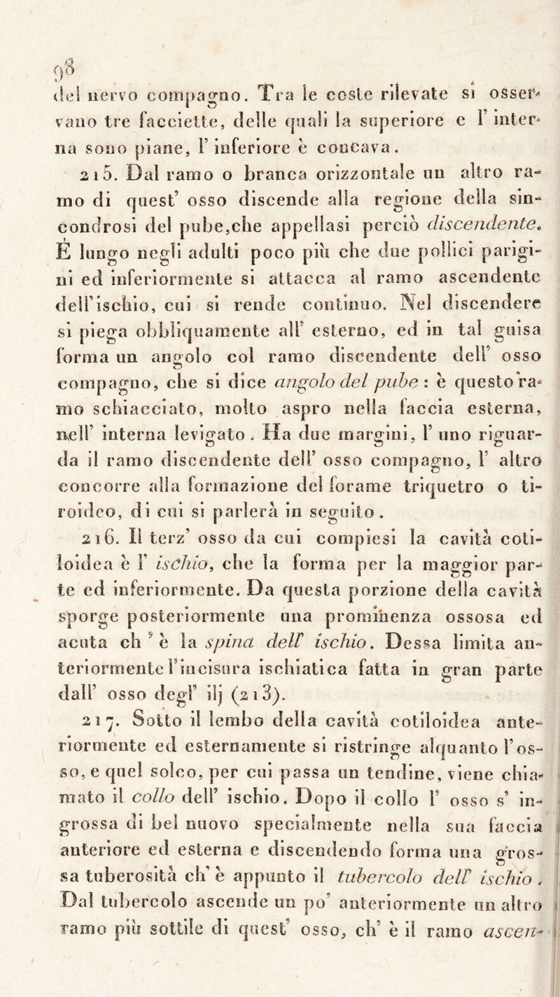 tiei iiervo compagne. Tra le cosle rilevate si ossef-* vaao tre laccietle, tlelle qaali la soperiore c 1 inter- na sono piane, F inferiore e coocava. 2 15. Dal ramo o branca orizzontale un altro ra- mo di qiiest’ osso discende alla regione délia sin» concirosi del pube,clie appellasl percio discendenteo É liingo negli aduiti poco piîi che due poüici parigi- ni ed iurerioriiiente si altacca al ramo ascendente deiriscbio, cui si rende continuo. Nel discendere si piega obbliquamente alF esteroo, ed in tal guisa forma un angolo col ramo discendente delF osso compagno, che si dice angolo del piihe i è questora-^ mo schiacciato, molto aspro nella laccia eslerna, nclF interna levigato. Ha due margiui, F uno riguar- da il ramo discendente delF osso compagno, F altro concorre alla fonnazione del forame triquetro o ti- roidco, di coi si parlera in seguito. 2i6. Il terz’ osso da cui compiesi la cavità coti- îoidea ë F isêhio, che la forma per la maggior par- te ed inferiorraente. Da questa porzione délia cavità sporge posteriormente una prornihenza ossosa ed acuta ch ^ ë \‘d spina delF ischio, Dessa limita an» teriormenteFincisura isehiatica fatta in gran parte dalF osso degF ilj (213). 21^. Solto il îembo délia cavità cotiloidea ante- riormente ed esternamente si ristringe alquanto F os- so,e quel solco, per cui passa un tendine, viene chia- « mato il collo deîF ischio. Dopo il collo F osso s’ in» grossa di bel nuovo specialmente nella sua faccia \ auteriore ed esterna e disceodendo forma una gros- sa tuberosità clF ë appunto il tuhercolo delF ischio . Dal tubercolo ascende un po’ anteriormenle un altro ) ramo pib sottile di quest’ osso, ch’ ë il ramo aseen- \.