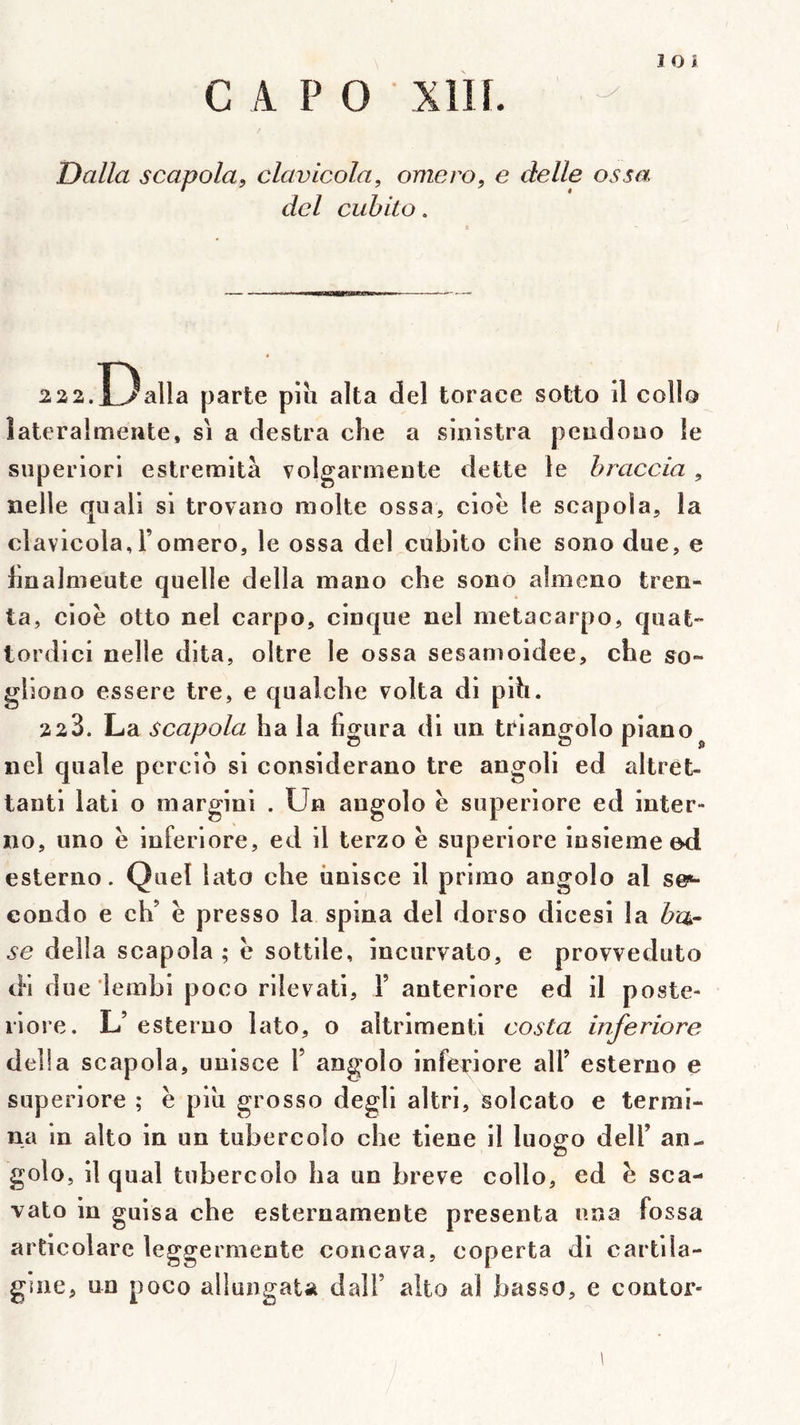 Dalla scapola, clavicola, omero, e deïle os sa dcl cubito. 222.DaU a parte piu alla del torace sotto il COII0 lateralmente, si a destra che a sinistra peudouo le superiori estremità volgariiieute dette le hraccia, nelle quali si trovano moite ossa, cioè le scapola, la clavicola, romero, le ossa del cubito che sono due, e hnalmeute quelle délia mano che sono almeno tren- ta, cioë otto nel carpo, cinque nel metacarpo, quat- tordici nelle dita, oltre le ossa sesamoidee, che so- gliono essere tre, e qualche volta di pih. 228. La scapola ha la figura di un tpiangolo piano nel quale percio si considerano tre angoli ed altrét- tanti lati o margini . Un angolo e superiore ed inter- no, uno ë inferiore, ed il terzo ë superiore insiemeed esterno. Quel lato che iinisce il primo angolo al s@*- condo e ch’ ë presse la spina del dorso dicesi la ba- se délia scapola ; ë sottile, incurvato, e provveduto d*i due iembi poco rilevati, 1’ anteriore ed il poste- riore. L’ esterno lato, o altrimenti costa inferiore délia scapola, unisce Y angolo inferiore ali’ esterno e superiore ; ë piîi grosso degli altri, solcato e termi- na in alto in un tubercolo che tiene il luogo delf an- golo, il quai tubercolo ha un breve collo, ed ë sca- vato in guisa che esternamente présenta una fossa articolarc leggermente concava, coperta di cartila- gine, un poco allungata dalf alto al basse, e contor- 1