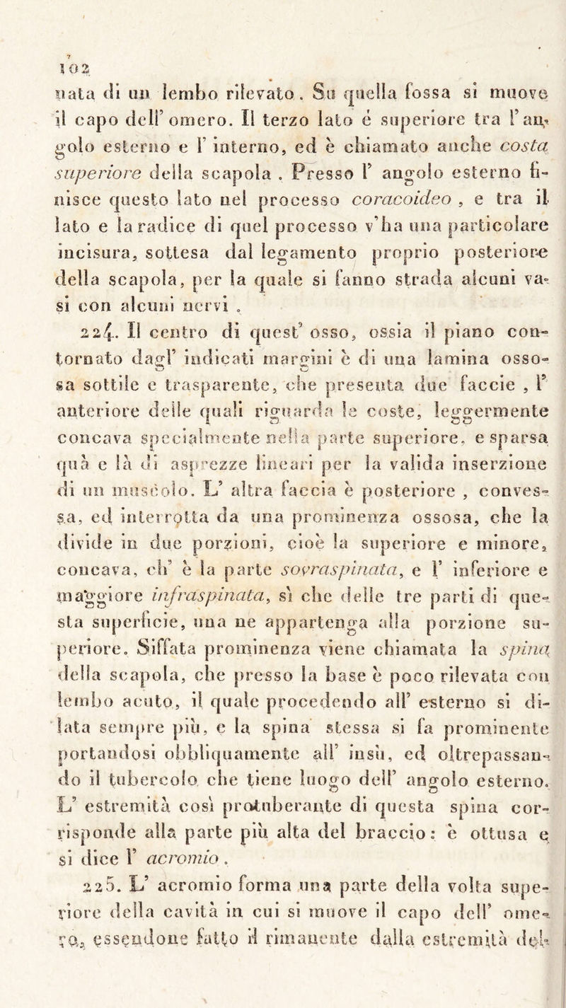pata <11 uü lembo rileyato. Su qsieüa fossa si moove il capo dcir oîïiero. Il terzo lato é snperiore ira Fau,^ golo eslerno e F interno, ed h cliiamato anche Costa snperiore délia scapola , Presso F angoio esterno ti- iiisce qiiesto lato nel processo coracoideo , e tra il lato e laradice di quel processo v’iia una particolare iiicisiira, soUesa dal legaraento proprio posterioî’^ délia scapola, per la qiiaie si ianoo strada alcuûi va» si con alconi nervi , 224. Il centro di qiiest’ osso, ossla il piano con- toroato da^:!’ iodieati marc'ini e di iina larnina osso- sa sottile e traspareote, che présenta due faccie , F anteriore delle quaü riguarda le coste, leggermente coiicava spccialmeote neüa parte snperiore, esparsa quà e là di asp^^ezze linearl per la valida inserzioiae di un miiscolo. IJ altra faccia ë posteriore , conves- sa, ed iîUerroita da uoa promioenza ossosa, che la ilivide iii due porzioni, cioë la vSuperiore e minore, coucava, clF ë la parte soÿraspinata, e F inferiore e iiiaggiore iafraspinata, s'i che délié tre parti di que- sla snperlicie, ima ne appartenga alla porzione su- periore, Siffata promineoza viene chiamata la spina délia scapola, che j)resso la base ë poco rilevata con lembo acüto, il quale procedeîido alF e-sterno si di- lata sempre piii, c la spina stessa si fa promioente portandosi obbliquainente alF insu, ed oltrepassau- do il tiibercolo che tiene loogo delF angoio esterno, L’ estremità cosi protubérante di questa spina cor- rispoude alla parte piii alla del braccio: ë ottusa e si dice F acromio. 225. L’ acromio forma una parte délia volta supe- î^iore délia cavità in cui si muove il capo dclF omc'^ çsseadoue fa^o H rimaneote dalla cslrcmilà dçh