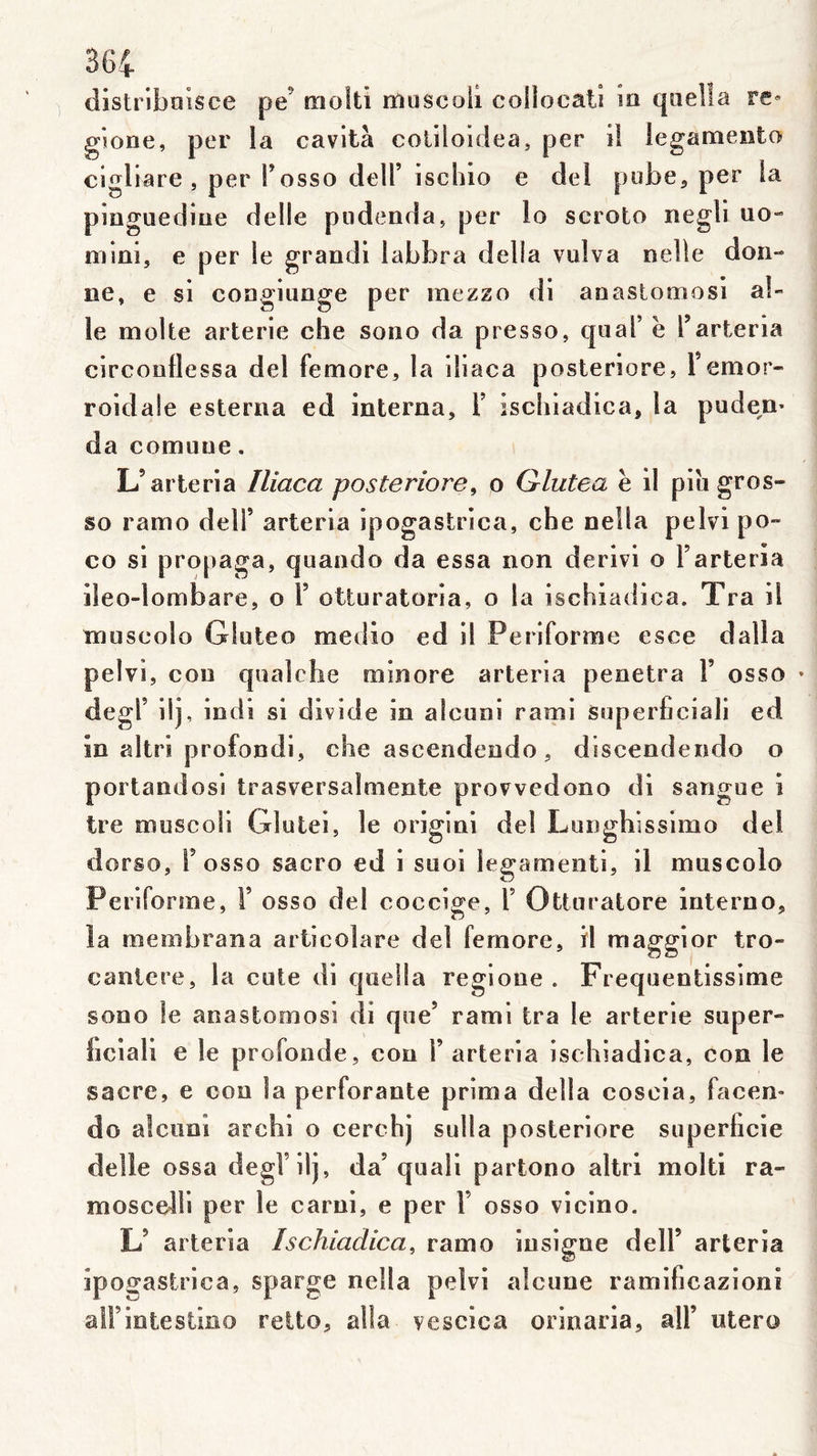 distribaisce pe’ molli muscoli collocati ia qaelîa re» gione, per la cavltà coliloidea, per i! legaraento cigliare , per Tosso delT ischio e del pube^ per la pinguediue delle piidenda, per lo scroto negli uo» mini, e per le grandi labbra délia vulva nelie don- ne, e si congiunge per mezzo di anaslomosl ab le molle arterie che sono da presso, quai’ ë l’arteria circonflessa del femore, la iliaca posteriore, l’emor- roidale esterna ed inlerna, F iscliladica, la pude^n- da comuue. L’arteria Iliaca posteriore, o Glutea ë il piîi gros- so ranio delF arteria ipogastrica, che nella peivi po- CO si propaga, quaado da essa non derlvi o Farteria lleo-lombare, o F otturatoria, o la ischladica. Tra il muscolo Gluteo medio ed il Periforme esce dalla peivi, cou qualche minore arteria pénétra F osso degF ilj, indi si divide in alcuni rami Superficiali ed in altri profondi, che ascendendo, discendendo o portandosi trasversalmente provvedono di sangue i ire muscoli Glutei, le origini del Lunghissimo del dorso, F osso sacro ed i suoi legamenti, il muscolo Periforme, F osso del coccige, F Otturatore interno, la membrana articolare del femore, il maggior tro- canlere, la cote di quella regioue . Frequentissime sono le anastomosi di que’ rami tra le arterie super- hciali e le profonde, cou F arteria ischiadica, con le sacre, e con la perforante prima délia coscia, facen- do aîcuni archi o cerchj sulla posteriore superficie delle ossa degl’ilj, da’quali partono altri molti ra- moscelli per le carui, e per F osso vicino. L’ arteria Ischiadica, ramo insigne delF arteria ipogastrica, sparge nella peivi alcune ramihcazioni all’intestino reito, alla vescica orinaria, alF utero