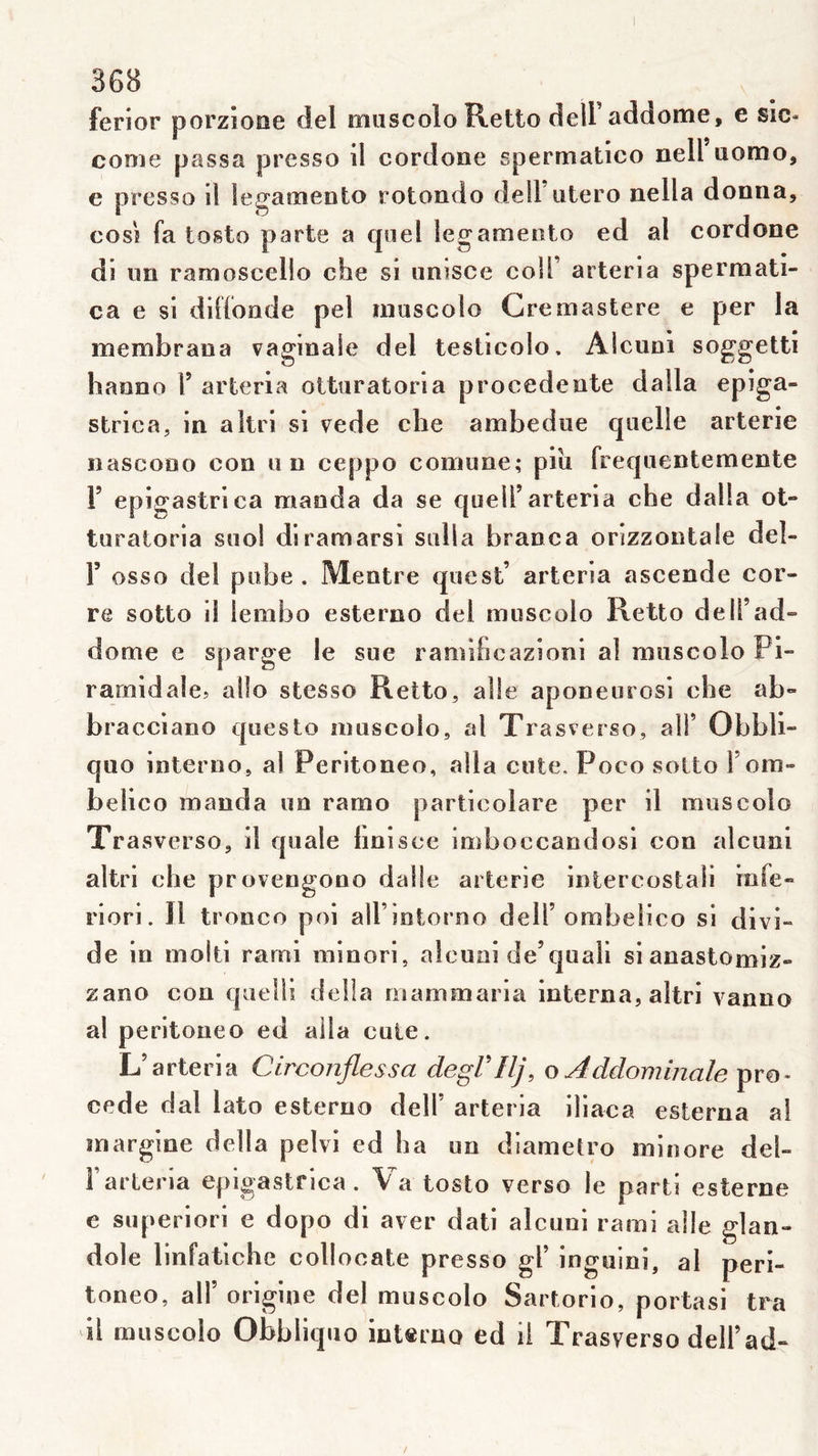 ferior porzione del rnuscolo Retto dell addome, e sic- conie passa presso il cordooe spermatico nell uomo, e presso il legamento rotondo deiFutero nella donna, cosî fa tosto parte a quel legameoto ed al cordone di im ramoscello che si unisce coli’ arteria spermati- ca e si diffonde pel uiuscoio Gremastere e per la membrana vaginale del testicolo» Alcuni soggetti hanno Y arteria ottaratoria procedente dalla epîga- strica, in altri si vede che ambedue quelle arterie iiascoDo con un ceppo comune; piu frequentemente V epigastriea manda da se quelTarteria che dalla ot- turatoria suol diramarsi sulla branca orizzontale del- r osso del pube . Mentre quest’ arteria ascende cor- re sotto il iembo esterno del rnuscolo Retto de 11’ad» dôme e sparge le sue ramifieazioni al rnuscolo Pi- ramidalcî alîo stesso Retto, aile aponeurosi che ab» bracciano questo rnuscolo, al Trasverso, ali’ Obbli- quo interne, al Peritoneo, alla ente. Poco sotto f om- belico manda un ramo particolare per il rnuscolo Trasverso, il quale hnisce imboccandosi con alcuni altri che provengono dalle arterie iniercostaîi iofe» riori. Il tronco poi aU’intorno dell’ombelico si divi- de in molli rarni minori, alcuni de’quali sianastomiz» zano con quelli deüa rnammaria interna, altri vanno al peritoneo ed alla cule. L’arteria Circonjlessa degrilj, o Addominale pro- cédé dal lato esterno dell’ arteria iliaca esterna al margine délia pelvi ed ha un diametro minore del» Farteria epigastriea. Va tosto verso le parti esterne e superiori e dopo di aver dati alcuni rami aile glan- dole linfatiche collocate presso gl’ inguini, al peri- toneo, air origine del rnuscolo Sartorio, portas! tra il rnuscolo Obbliquo inteino ed il Trasverso dell’ad-