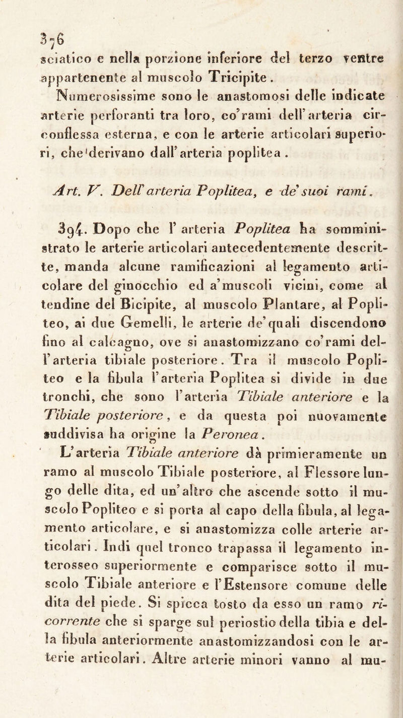 sciatico e nella porzîone inferlore del terzo ?esître appartenente al miiscolo Trîcîpite. Nomerosissime sono le anastoraosi delle îndicate arterie perforant! tra loro, coVarnl delfarteria cir- eooflessa esteroa, e cou le arterie articolari superio- ri, che'derivaoo dalFarteria poplitea . Art, V, Deirarteria Poplitea, e de suoi rarni, Sgi* Dopo elle Y arteria Poplitea ha sommini*- strate le arterie articolari antecedentemente descrit- te, manda alcune ramificazlonî al îegamento arti» colare del ginocchio ed a’muscoli vlcini, corne al tendine del Biclpite, al muscolo Plantare, al Popll- teo, ai due Gemelli, le arterie dc’quali dlscendono Imo al calcagao, ove si auastomizzano co’ram! del- F arteria tibiale posteriore . Tra il mascolo Popli- teo e la fabula F arteria Poplitea si divlde in due tronchî, che sono F arteria Tibiale anteriore e la Tibiale posteriore, e da questa poi nuovamente fuddivisa ha origine la Peronea. L’arteria Tibiale anteriore dà primieramente un ramo al muscolo Tibiale posteriore, al Flessorelun» go delle dlta, ed un’altro che ascende sotto il mu- scolo Popliteo e si porta al capo délia fabula, al lega- mento articolare, e si anastomizza colle arterie ar- ticolari . Indi quel tronco trapassa il legamento in- terosseo superiormente e comparisce sotto il mu- scolo Tibiale anteriore e FEsteiisore comune delle dita del piede. Si spicca tosto da esso un ramo n- corrente cfae si sparge sul periostio délia tibia e dél- ia fabula anteriormente anastomizzandosi con le ar- terie articolari. Altre arterie mînori vanno al mu-