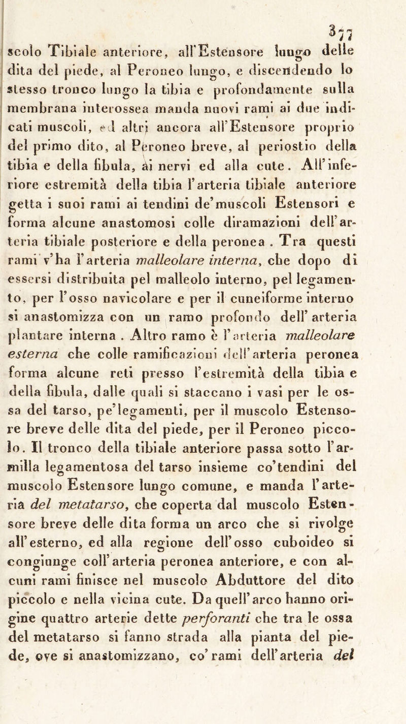 ^11 scolo Tibiale anteriore, airEsteosore Îuuîjo delle dita del plede, al Peroueo limgo, e discertdendo lo slesso trouco lungo la tibia e profoudamente siilla membrana iiiterossea maada nuovi rami ai due indl» « cati muscoli, ed altrj ancora ali’Esteasore proprio del primo dito, al Pferoneo breve, al periostio délia tibia e délia (ibula, ài nervi ed alla cule. AU’infe- riore estremità délia tibia Tarteria tibiale anteriore getta i suoi rami ai tendini de’muscoli Estensori e forma alcune anastomosl colle diramazioni delFar- teria tibiale posteriore e délia péroné a . Tra questi rami v’ha Farteria rnalleolare interna, che dopo dî essersi distribuita pel malleolo iuterno, pel legamen- to, per Fosso navicolare e per il cunéiforme interno si anastomizza con un ramo profonde delF arteria plantare interna . Altro ramo è Farteria malleolare esterna che colle ramificazioni delFarteria peronea forma alcune reti presse Festremità délia tibia e délia fibula, dalle quali si staccano i vasi per le os- sa del tarso, pe’legamenti, per il muscolo Estenso- re breve delle dita del piede, per il Peroneo picco- lo. Il tronco délia tibiale anteriore passa sotto Far- inilla îegamentosa del tarso insieme co’tendini del muscolo Estensore lungo comune, e manda Farte- ria del metatarsOy che coperta dal muscolo Esten- sore breye delle dita forma un arco che si rivolge alFesterno, ed alla regione delFosso cuboideo si congiunge colF arteria peronea anteriore, e con al- cuni rami finisce nel muscolo Abduttore del dito piccolo e nella vicina cute. Da quelFarco hanno ori- gine quattro arterie dette perforanti che tra le ossa del metatarso si fanno strada alla planta del ple- de, ove si anastomizzano, co’rami delFarteria del