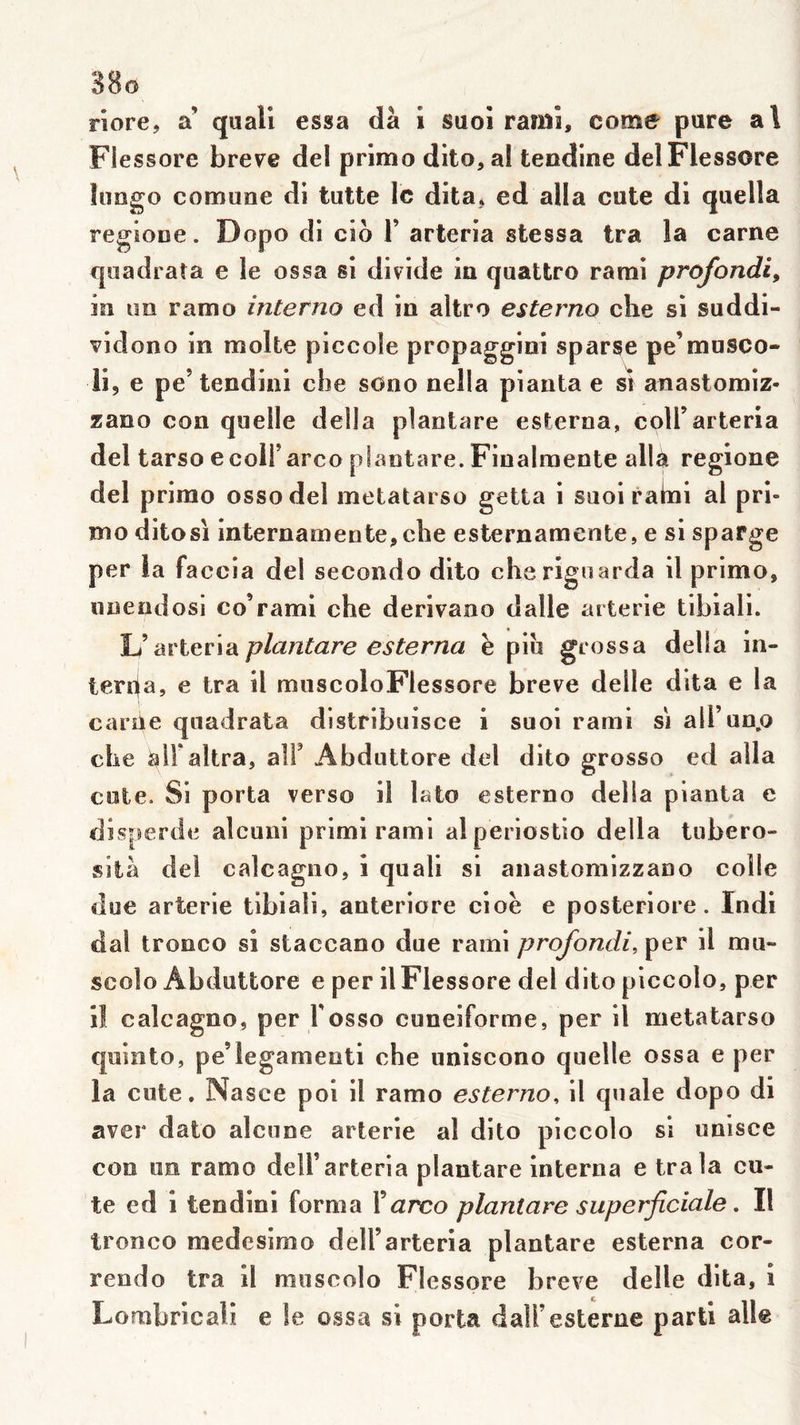 riore, a’ qaall essa (là 1 saoî rariiî, corne pure al Flessore breve del primo dlto, al tendine delFlessore limgo comune di tutte le dita* ed alla cute dl quella regiODe. Dopo di cio V arteria stessa tra la carne qoadraîa e le ossa si divide in quattro rarai profondi, in un ramo interno ed in altro esterno che si su ddi- vidono in moite piccoîe p^'^p^ggini sparse pe’musco- li, e pe’tendini cbe s<3no nella pianta e st anastomiz- zano con quelle délia plantare esterna, coll’arteria del tarso ecolFarco plantare. Finalraente allà regione del primo ossodel metatarso getta i suoi rabii al pri- mo ditosi internamente,che esternamente, e si sparge per la fa ccia del seconde dito cherigoarda il primo, nnendosi co’rami che derivano dalle arterie tibiali. 'M'Ict'xA plantare esterna è püi grossa délia in- terna, e tra il muscoloFlessore breve delle dita e la carîie quadrata dlstribuisce i suoi rami s\ aU’unp che ^Ifaltra, alF Abduttore del dito grosso ed alla cute. Si porta verso il lato esterno délia pianta e disperde alcuni primi rami alperiostio délia tubero- sità del calcagno, i quali si anastomizzano colle due arterie tibiali, anteriore cioè e posteriore. Indi dal tronco si staccano due rami profondi, per il mu- scolo Abduttore e per il Flessore del dito piccolo, per il calcagno, per Fosso cunéiforme, per il metatarso quinto, pe’legamenti che uniscono quelle ossa e per la cute. Nasce poi il ramo esterno, il quale dopo di aver date alcune arterie al dito piccolo si unisce con un ramo delF arteria plantare interna e tra la cu- te ed i tendini forma F^zrco plantare superficiale. Il tronco medesimo delFarteria plantare esterna cor- rendo tra il rauscolo Flessore breve delle dita, i Lombrlcali e le ossa si porta dalFesterne parti aile