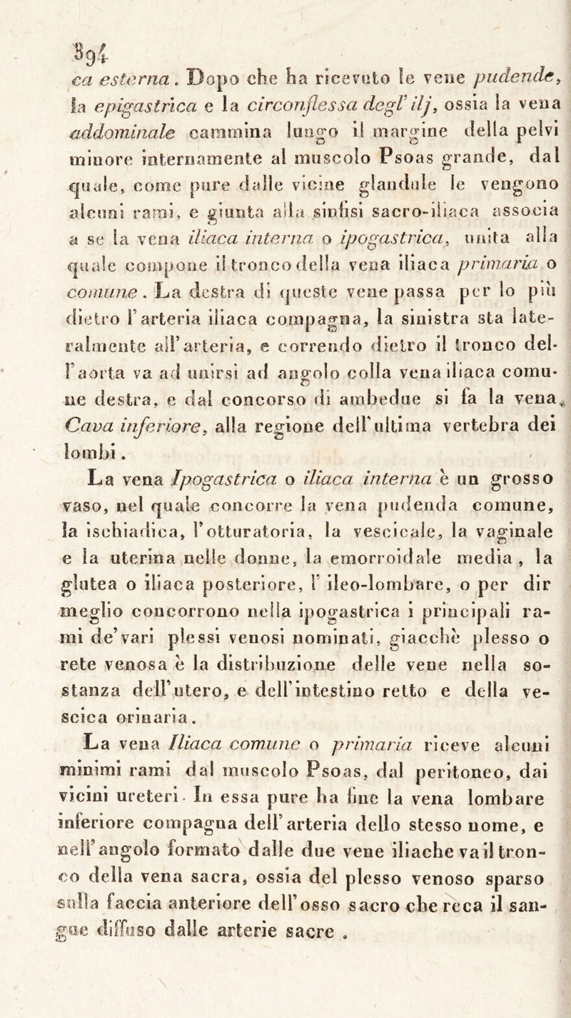 Sgi ca estcrna, Dopo che ha ricevuto le verie pudendc, la epigastrica e la circonftessa degl'llj, ossia la veiia addominale caniroina loago il niargine délia pelvi iniiiore intemamente al nioscolo Psoas grande, dal cpiale, corne pore dalle vicnie glaiidole le vengono alconi ranii, e giuiita alla sinfisi sacro-ihaca associa a se la veoa iUaca interna o ipogastrica, iioîta alla quale cooipooe i! tronco délia veoa lliaca primaria o COïmine. La destra di (|i!este vene passa per lo pin dielro Farteria iliaca compagna, la sinistra sta late- raiîiieate ail’arieria, e correndo dielro il irooco del- Faorta va ad imirsi ad ang’olo colla venaihaca comu- ne destra, e dal concorso di ambedue si fa la vena^ Gava inferiore^ alla regione delFiiitima vertebra dei iombi. La vena Ipogastrica o iliaca interna e un grosso vaso, nel quaie concorre la vena pudeiida comune, la ischiadica, Fotturaioria, la vescleale, la vaginale e la uterina neije donne, la emorroidale media , la glutea o iliaca posteriore, i ileo-lombare, o per dir meglio concorrono nella ipogastrica i prinelpali ra- mi de’vari plessi venosi nominati, giacchë plesso o rete venosa ë la dlstribuzione delle vene nella so- stanza delFutero, e delFlntestino retto e délia ve- scica orinaria. La vena Iliaca comune o primaria riceve alctml minimi rami dal moscolo Psoas, dal peritoneo, dai vicini ureterl. In essa pure ha hue la vena lombare inferiore compagna delFarteria dello stesso nome, e nelFangolo formato dalle due vene iliache va il tron- co délia vena sacra, ossia del plesso venoso sparso solia faccia anteriore delFosso sacrochereca il san- goe ; arterie sacre