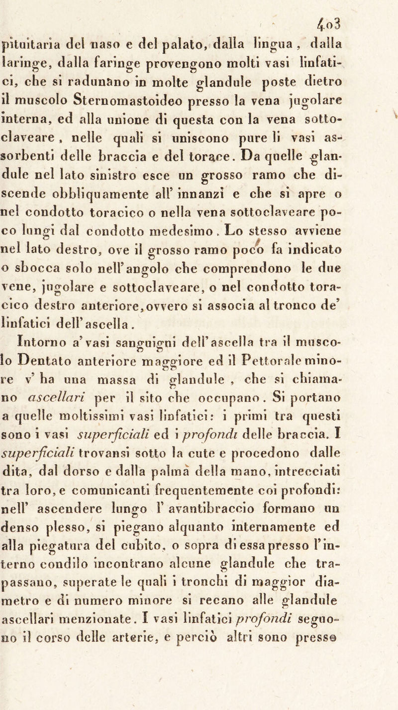 / pîtuitaria del îiaso e del palato, dalla lingiia , daüa laringe, dalla faringe provengono molti vas! linfati- ci, che si radunano in moite glandule poste dietro il muscolo Sternomastoideo presso la vena jugolare interna, ed alla unione di questa con la vena sotto- claveare , nelle quali si uniscono pure li vasi as- sorbenti delle braccia e del torace. Da quelle glan- dule nel lato sinistro esce un grosso ramo che di- scende obbliquamente ail’ innanzî e che si âpre o nel condotto toracico o nella vena sottoclaveare po- co lungi dal condotto medesimo. Lo stesso avviene nel lato destro, ove il grosso ramo poc^) fa indicato o sbocca solo nell’angolo che comprendono le due vene, jugolare e sottoclaveare, o nel condotto tora- cico destro anteriore,ovvero si associa al tronco de’ liufatici deU’ascella. Intorno a’vasi sanguigni dell’ascelîa tra il musco- lo Dentato anteriore maggiore ed il Pettorale mino- re v’ ha una massa di glandule , che si chiama- no ascellari per il sito che occupano. Si portano a quelle moltissimi vasi linfatici: i prîmi tra questi sono 1 vasi superjîciali ed i profondi delle braccia. I superficiali trovansi sotto la ciite e procedono dalle dita, dal dorso e dalla palinà délia mano, intrecciati tra loro,e comunicanti frequentemente coi profondi.* neir ascendere lungo F avantibraccio formano un denso plesso, si piegano alquanto internamente ed alla piegatura del cubito, o sopra diessapresso Fin- terno condilo incontrano alcune glandule che tra- passano, superate le quali i tronchi di maggior dia- metro e di numéro minore si recano aile glandule ascellari menzionate. I vasi linfatici profondi seguo^ no il corso delle arterle, e percio altri sono press©