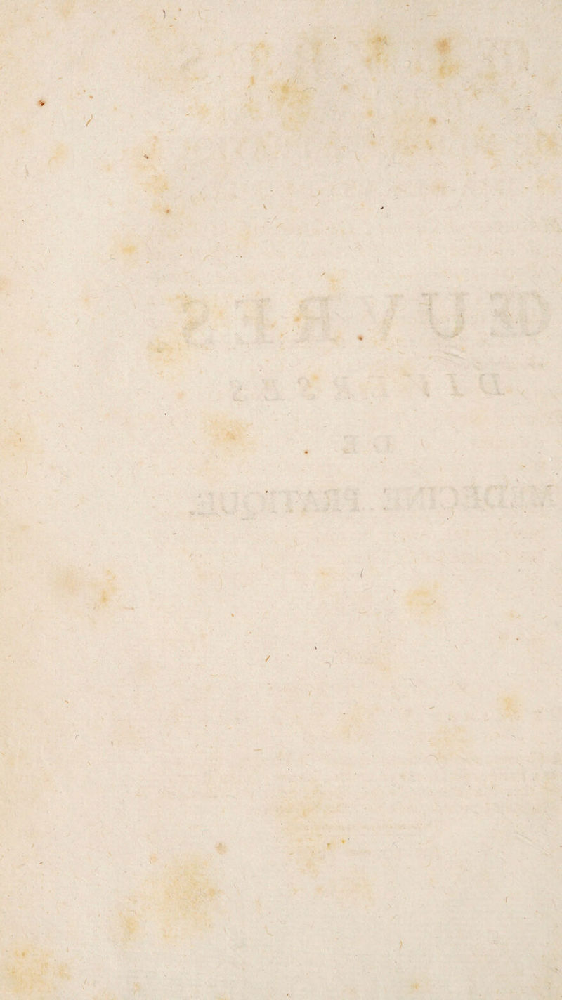 * y ) / v •V' \ - -V -f t . \ \ I « t ' * ^ > ». r i > N V. / * / / \ f ■l: /. ) {