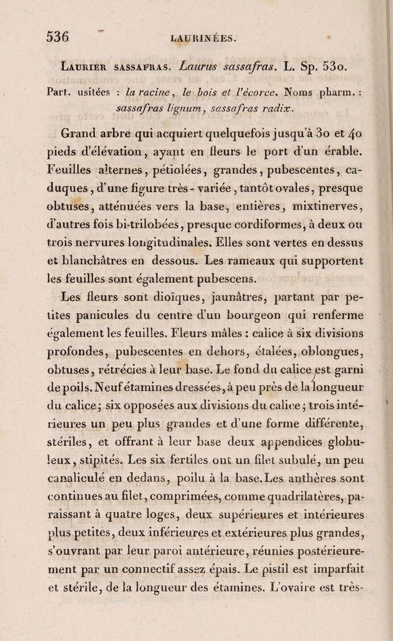 Laurier sassafras. Laurus sassafras, L. Sp. 53o. Part, usitées ; la racine ^ le bois et l’écorce. Noms pharm. : sassafras lignum, sassafras radix. Grand arbre qui acquiert quelquefois jusqu’à 3o et 4o pieds d’élévation, ayant en fleurs le port d’un érable. Feuilles alternes, pétiolées, grandes, pubescentes, ca¬ duques , d’une figure très - variée, tantôt ovales, presque obtuses, atténuées vers la base, entières, mixtinerves, d’autres fois bi-trilobées, presque cordiformes, à deux ou trois nervures longitudinales. Elles sont vertes en dessus et blanchâtres en dessous. Les rameaux qui supportent les feuilles sont également pubescens. Les fleurs sont dioïques, jaunâtres, partant par pe¬ tites panicules du centre d’un bourgeon qui renferme également les feuilles. Fleurs mâles ; calice à six divisions profondes, pubescentes en dehors, étalées, oblongues, obtuses, rétrécies à leur base. Le fond du caliceyest garni de poils. Neuf étamines dressées, à peu près de la longueur du calice; six opposées aux divisions du calit^e ; trois inté¬ rieures un peu plus grandes et d’une forme différente, stériles, et offrant à leur base deux appendices globu¬ leux, stipités. Les six fertiles ont un filet subulé, un peu canaliculé en dedans, poilu à la base.Les anthères sont continues au filet, comprimées, comme quadrilatères, pa¬ raissant à quatre loges, deux supérieures et intérieures plus petites, deux inférieures et extérieures plus grandes, s’ouvrant par leur paroi antérieure, réunies postérieure¬ ment par un connectif assez épais. Le pistil est imparfait et stérile, de la longueur des étamines. L’ovaire est très-