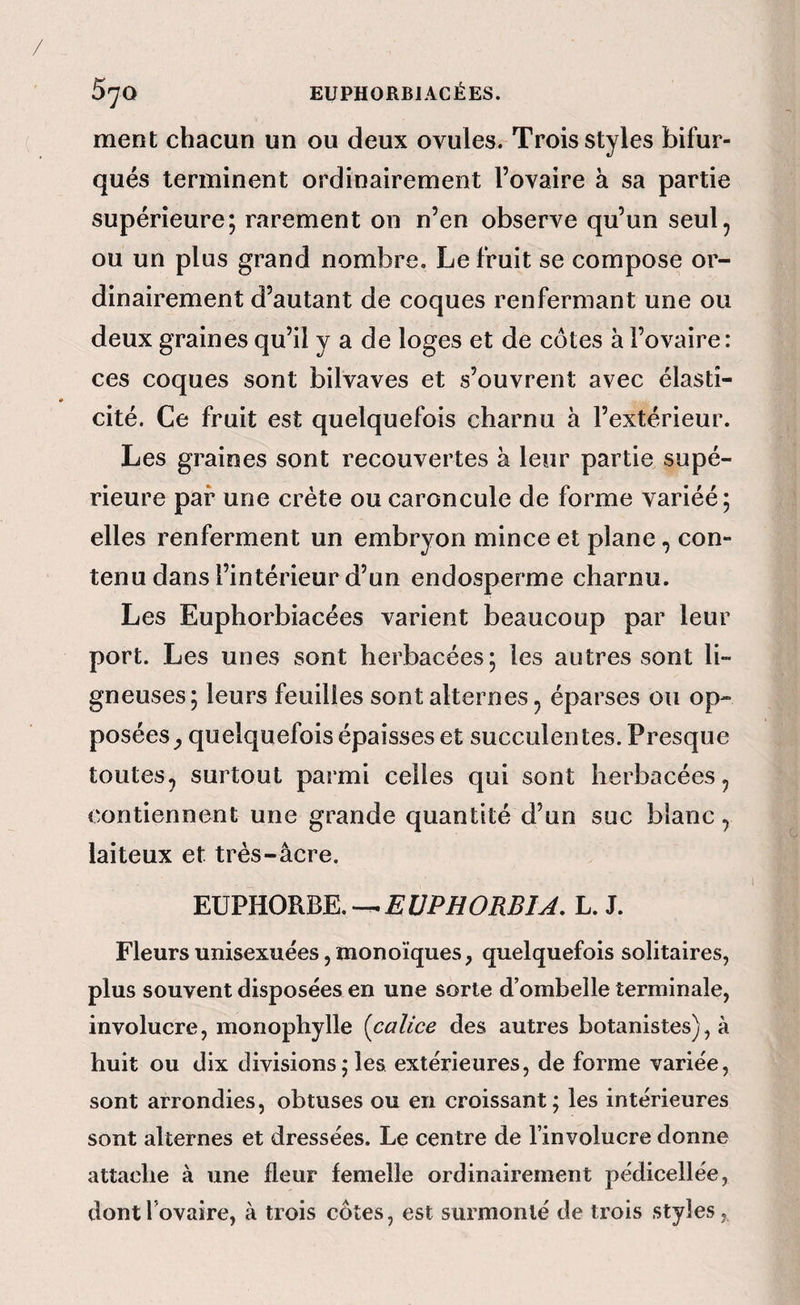 ment chacun un ou deux ovules. Trois styles bifur¬ ques terminent ordinairement l’ovaire à sa partie supérieure; rarement on n’en observe qu’un seul, ou un plus grand nombre. Le fruit se compose or¬ dinairement d’autant de coques renfermant une ou deux graines qu’il y a de loges et de côtes à l’ovaire: ces coques sont bilvaves et s’ouvrent avec élasti¬ cité. Ce fruit est quelquefois charnu à l’extérieur. Les graines sont recouvertes à leur partie supé¬ rieure par une crête ou caroncule de forme variéé; elles renferment un embryon mince et plane, con¬ tenu dans l’intérieur d’un endosperme charnu. Les Euphorbiacées varient beaucoup par leur port. Les unes sont herbacées; les autres sont li¬ gneuses; leurs feuilles sont alternes, éparses ou op¬ posées quelquefois épaisses et succulentes. Presque toutes, surtout parmi celles qui sont herbacées, contiennent une grande quantité d’un suc blanc, laiteux et très-âcre. ¥X}VmyKm,^EÜPHORBIA, L. J. Fleursunisexuées,monoïques, quelquefois solitaires, plus souvent disposées en une sorte d’ombelle terminale, involucre, monophylle {calice des autres botanistes), à huit ou dix divisions ; les extérieures, de forme variée, sont arrondies, obtuses ou en croissant; les intérieures sont alternes et dressées. Le centre de l’involucre donne attache à une fleur femelle ordinairement pédicellée, dontlbvaire, à trois côtes, est surmonté de trois styles,