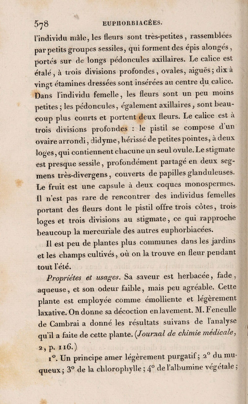 T 5i^8 euphorbiacées. rindividu mâle, les fleurs sont très-petites, rassemblées par petits groupes sessiles, qui forment des épis alongés , portés sur de longs pédoncules axillaires. Le calice est étalé, à trois divisions profondes, ovales, aiguës; dix à vingt étamines dressées sont insérées au centre du calice. Dans l’individu femelle, les fleurs sont un peu moins petites ; les pédoncules, également axillaires, sont beau¬ coup plus courts et portent deux fleurs. Le calice est à trois divisions profondes : le pistil se compose d’un ovaire arrondi, didyme, hérissé de petites pointes, à deux loges, qui contiennent chacune un seul ovule. Le stigmate est presque sessile, profondément partage en deux seg- mens très-divergens, couverts de papilles glanduleuses. Le fruit est une capsule à deux coques monospermes. Il n’est pas rare de rencontrer des individus femelles portant des fleurs dont le pistil offre trois côtes, trois loges et trois divisions au stigmate, ce qui rapproche beaucoup la mercuriale des autres euphorbiacées. Il est peu de plantes plus communes dans les jardins et les champs cultives, ou on la trouve en fleur pendant tout l’été. ( Propriétés et usages. Sa saveur est herbacée, fade, aqueuse, et son odeur faible, mais peu agréable. Cette plante est employée comme émolliente et légèrement laxative. On donne sa décoction en lavement. M. Feneulle de Cambrai a donné les résultats suivans de l’analyse qu’il a faite de cette plante. {Journal de chimie médicale^ 2, p. ii6.) I®. Un principe amer légèrement purgatif; a du mu¬ queux; 3® de la chlorophylle ; 4° de l’albumine végétale ;