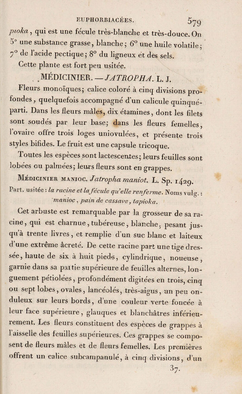 pioka, qui est une fécule très-bîanciie et très-douce. On 0“ une substance grasse, blanche; 6 une huile volatile; de l’acide pectique; 8® du ligneux et des sels. Cette plante est fort peu usitée. . .médicînïer.—J. Fleurs monoïques; calice coloré à cinq divisions pro¬ fondes , quelquefois accompagné d’un calicule quinqué- parti. Dans les fleurs mâles, dix étamines, dont les filets sont soudés par leur base; dans les fleurs femelles, 1 ovaire offre trois loges uniovulées, et présente trois styles bifides. Le fruit est une capsule tricoque. Toutes les espèces sont lactescentes; leurs feuilles sont lobees ou palmees; leu»rs fleurs sont en grappes. Médicixier manioc. Jatropha maniot. L. Sp. 1429. Part, usitée : la racine et lafécule qu’elle renferme. Noms vulg. ; 'manioc, pain de cassaoe^ tapioka. Cet arbuste est remarquable par la grosseur de sa ra¬ cine, qui est charnue, tubereuse, blanche, pesant jus¬ qu’à trente livres, et remplie d’un suc blanc et laiteux d une extrême âcreté. De cette racine part une tige dres¬ sée , haute de six à huit pied-s, cylindrique, noueuse , garnie dans sa paiîie supérieure de feuilles alternes, lon¬ guement petiolées, profondément digitées en trois, cinq ou sept lohes, ovales, lancéolés, très-aigus, un peu on¬ duleux sur leurs bords, d’une couleur verte foncée à leui face supérieure, glauques et blanchâtres inférieu¬ rement. Les fleurs constituent des especes de grappes à l’aisselIe des feuilles supérieures. Ces grappes se compo¬ sent de fleurs males et de fleurs femelles. Les premières offrent un calice subcampanulé, à cinq divisions, d’un