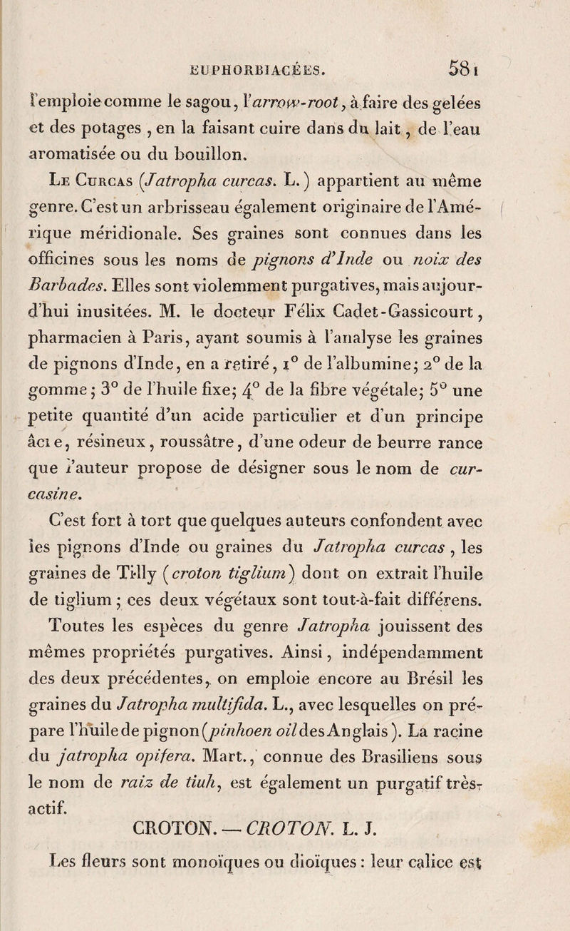 remploie comme le sagou, Xarrow-root, à faire des gelées et des potages , en la faisant cuire dans du lait, de l’eau aromatisée ou du bouillon. Le Curcas (Jatropha curcas, L. ) appartient au même genre. C’est un arbrisseau également originaire de l’Amé¬ rique méridionale. Ses graines sont connues dans les officines sous les noms de pignons (Tlnde on noix des Barhades. Elles sont violemment purgatives, mais aujour¬ d’hui inusitées. M. le docteur Félix Cadet-Gassicourt, pharmacien à Paris, ayant soumis à l’analyse les graines de pignons d’Inde, en a retiré, i® de l’albumine; 2° de la gomme ; 3° de l’huile fixe; 4° 8e la fibre végétale; 5° une petite quantité d’un acide particulier et d’un principe âcie, résineux, roussâtre, d’une odeur de beurre rance que /auteur propose de désigner sous le nom de cur- casine. C’est fort à tort que quelques auteurs confondent avec les pignons d’Inde ou graines du Jatropha CMrcas , les graines de Ti-lly (^croton tiglium) dont on extrait l’huile de tiglium ; ces deux vég^étaux sont tout-à-fait différons. Toutes les espèces du genre Jatropha jouissent des mêmes propriétés purgatives. Ainsi, indépendamment des deux précédentes,, on emploie encore au Brésil les graines du Jatropha multifida. L., avec lesquelles on pré¬ pare l’huile de pignon oz/des Anglais). La racine du jatropha opifera. Mart., connue des Brasiliens sou^ le nom de raiz de tiuh^ est également un purgatif très- actif CROTON. — CROTON, L. J. / . Les fleurs sont monoïques ou dioïques : leur calice est