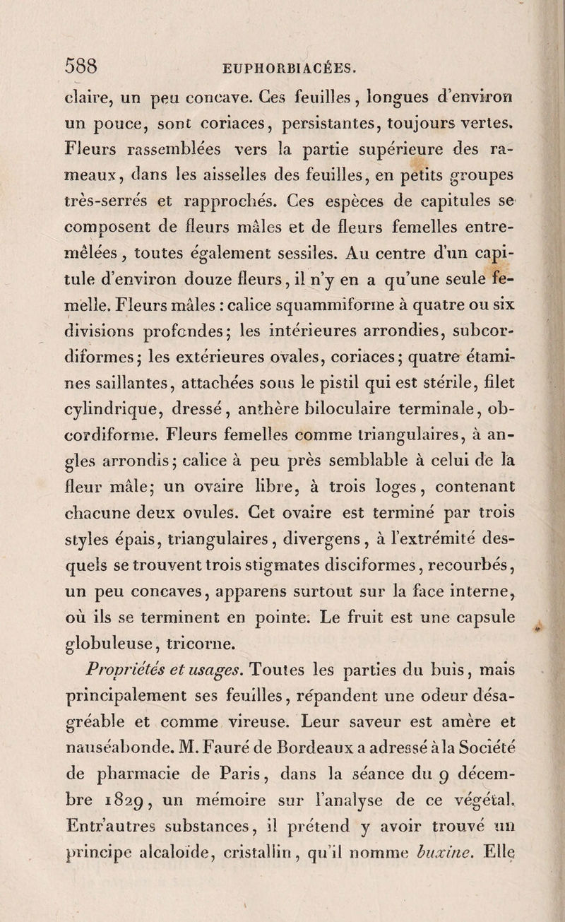 claire, un peu concave. Ces feuilles, longues d’environ un pouce, sont coriaces, persistantes, toujours vertes. Fleurs rassemblées vers la partie supérieure des ra¬ meaux, dans les aisselles des feuilles, en petits groupes très-serrés et rapprochés. Ces espèces de capitules se composent de fleurs mâles et de fleurs femelles entre¬ mêlées , toutes également sessiîes. Axi centre d’un capi¬ tule d’environ douze fleurs, il n’y en a qu’une seule fe¬ melle. Fleurs mâles : calice squammiforme à quatre ou six divisions profondes; les intérieures arrondies, subcor- diformes; les extérieures ovales, coriaces; quatre étami¬ nes saillantes, attachées sous le pistil qui est stérile, filet cylindrique, dressé, anthère hiloculaire terminale, ob- cordiforme. Fleurs femelles comme triangulaires, à an¬ gles arrondis ; calice à peu près semblable à celui de la fleur mâle; un ovaire libre, à trois loges, contenant chacune deux ovules. Cet ovaire est terminé par trois styles épais, triangulaires, divergens, à l’extrémité des¬ quels se trouvent trois stigmates disciformes, recourbés, un peu concaves, appareils surtout sur la face interne, où ils se terminent en pointe. Le fruit est une capsule globuleuse, tricorne. Propriétés et usages. Il onXes les parties du buis, mais principalement ses feuilles, répandent une odeur désa¬ gréable et comme vireuse. Leur saveur est amère et nauséabonde. M. Fauré de Bordeaux a adressé àla Société de pharmacie de Paris, dans la séance du g décem¬ bre 1829, un mémoire sur l’analyse de ce végétal. Entr’autres substances, il prétend y avoir trouvé un principe alcaloïde, cristallin, qu’il nomme huxine. Elle