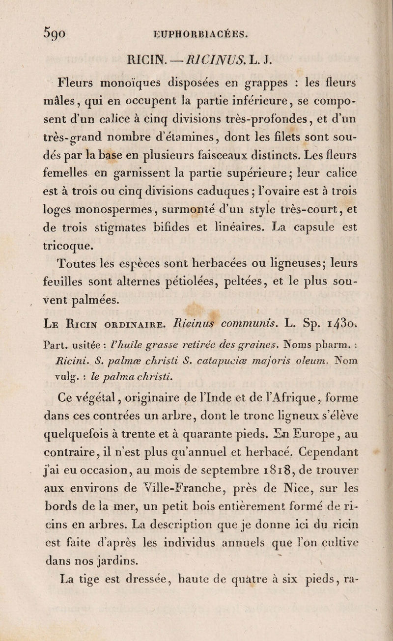 RICIN. — RI CI NU S. L. J. Fleurs monoïques disposées en grappes : les fleurs mâles, qui en occupent la partie inférieure, se compo¬ sent d’un calice à cinq divisions très-profondes, et d’un très-grand nombre d’élamines, dont les filets sont sou¬ dés par la base en plusieurs faisceaux distincts. Les fleurs femelles en garnissent la partie supérieure; leur calice est à trois ou cinq divisions caduques ; l’ovaire est à trois loges monospermes, surmonté d’un style très-court, et de trois stigmates bifides et linéaires. La capsule est tri coque. Toutes les espèces sont herbacées ou ligneuses; leurs feuilles sont alternes pétiolées, peltées, et le plus sou¬ vent palmées. Le Ricin ordinaire. Rwinus communis, L. Sp. i43o* Part, usitée ; l’huile grasse retirée des graines. Noms pliarm. : Ricini. S. palmœ christi S. catapuciœ majoris oîeum. Nom vulg. : le palnia christi. Ce végétal, originaire de l’Inde et de l’Afrique, forme dans ces contrées un arbre, dont le tronc ligneux s’élève quelquefois à trente et à quarante pieds. En Europe, au contraire, il n’est plus qu’annuel et herbacé. Cependant j’ai eu occasion, au mois de septembre 1818, de trouver aux environs de Ville-Franche, près de Nice, sur les bords de la mer, un petit bois entièrement formé de ri¬ cins en arbres. La description que je donne ici du ricin est faite d’après les individus annuels que l’on cultive dans nos jardins. La tige est dressée, haute de qualité à six pieds, ra-