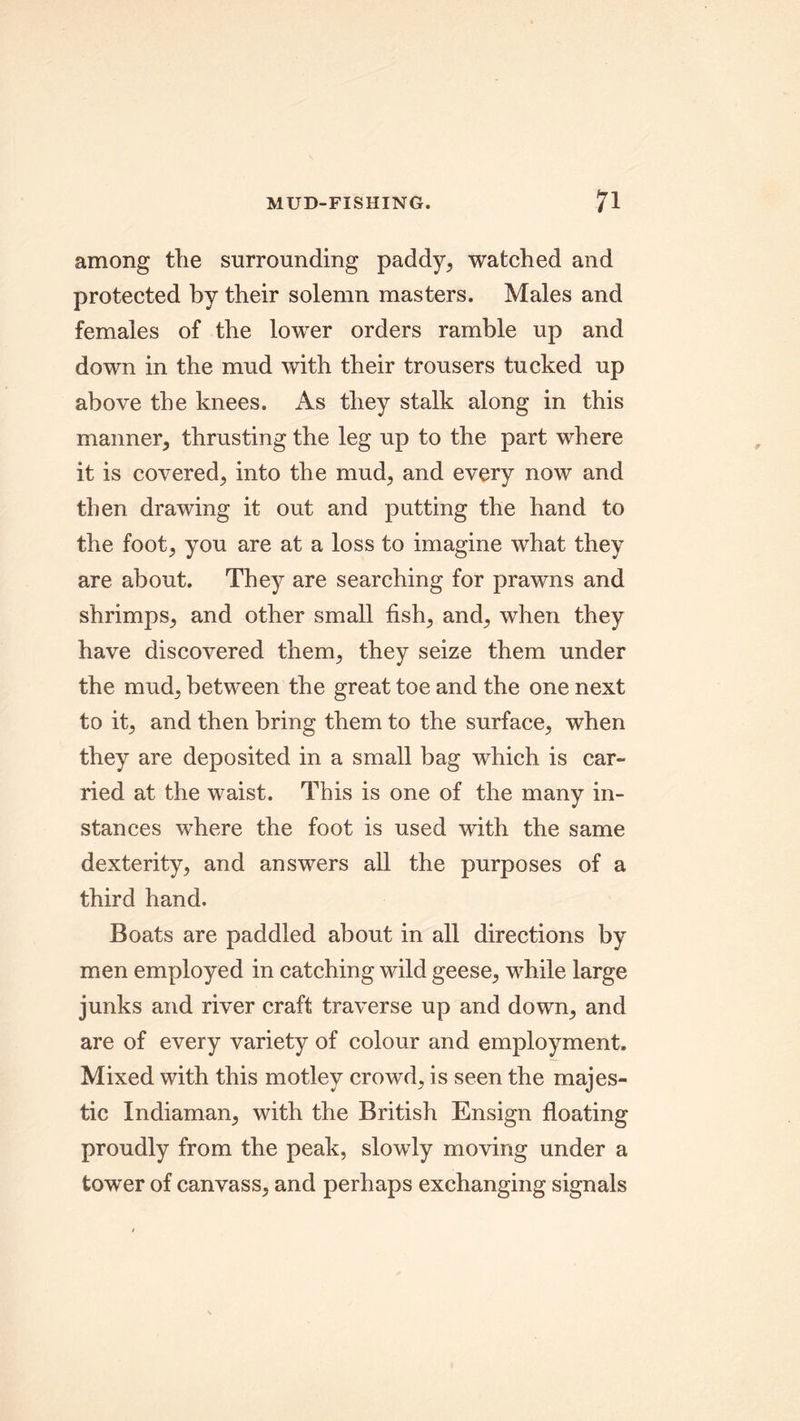 among the surrounding paddy, watched and protected by their solemn masters. Males and females of the lower orders ramble up and down in the mud with their trousers tucked up above the knees. As they stalk along in this manner, thrusting the leg up to the part where it is covered, into the mud, and every now and then drawing it out and putting the hand to the foot, you are at a loss to imagine what they are about. They are searching for prawns and shrimps, and other small fish, and, when they have discovered them, they seize them under the mud, between the great toe and the one next to it, and then bring them to the surface, when they are deposited in a small bag which is car- ried at the waist. This is one of the many in- stances where the foot is used with the same dexterity, and answers all the purposes of a third hand. Boats are paddled about in all directions by men employed in catching wild geese, while large junks and river craft traverse up and down, and are of every variety of colour and employment. Mixed with this motley crowd, is seen the majes- tic Indiaman, with the British Ensign floating proudly from the peak, slowly moving under a tower of canvass, and perhaps exchanging signals