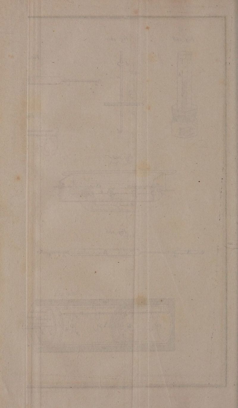 Ê he PP nude Ei he +