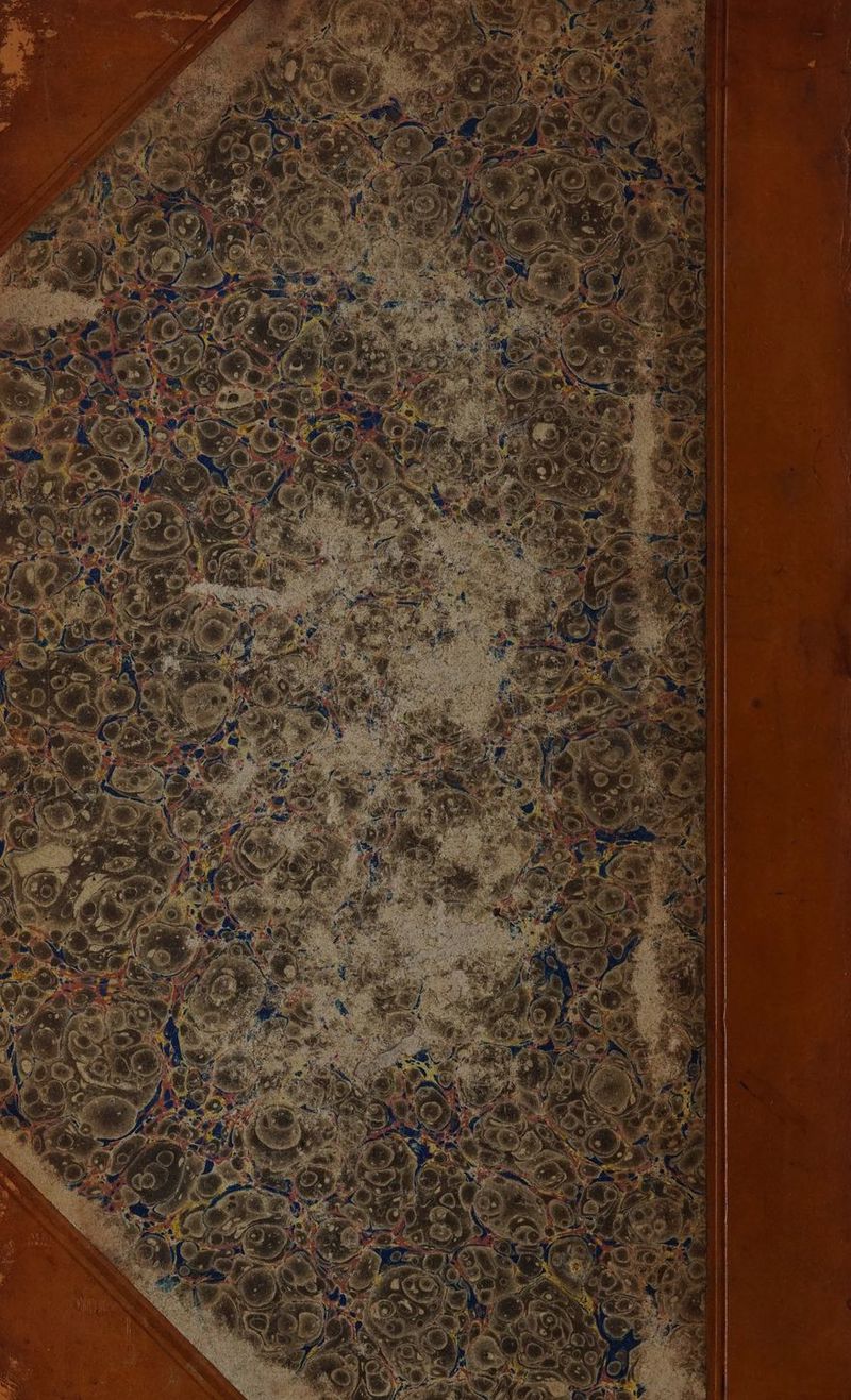 No text description is available for this image