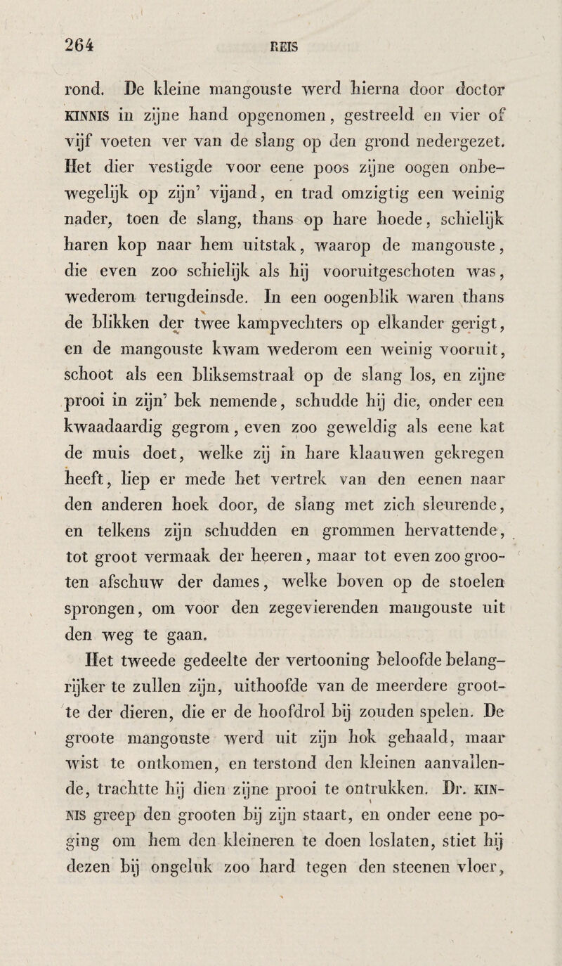 I 264 REIS rond. De kleine mangouste werd hierna door doctor KINJSIS in zijne hand opgenomen, gestreeld en vier of vijf voeten ver van de slang op den grond nedergezet. Het dier vestigde voor eene poos zijne oogen onbe¬ wegelijk op zijn’ vijand, en trad omzigtig een weinig nader, toen de slang, thans op hare hoede, schielijk haren kop naar hem uitstak, waarop de mangoïiste, die even zoo schielijk als hij vooruitgeschoten was, wederom terugdeinsde. In een oogenhlik waren thans de blikken der twee kampvechters op elkander gerigt, en de mangouste kwam wederom een weinig vooruit, schoot als een bliksemstraal op de slang los, en zijne prooi in zijn’ hek nemende, schudde hij die, onder een kwaadaardig gegrom, even zoo geweldig als eene kat de muis doet, welke zij in hare klaauwen gekregen heeft, liep er mede het vertrek van den eenen naar den anderen hoek door, de slang met zich sleurende, en telkens zijn schudden en grommen hervattende , tot groot vermaak der heeren, maar tot even zoo groo- ten afschuw der dames, welke hoven op de stoelen sprongen, om voor den zegevierenden mangouste uit den weg te gaan. Het tweede gedeelte der vertooning beloofde helang- rijker te zullen zijn, uithoofde van de meerdere groot¬ te der dieren, die er de hoofdrol hij zouden spelen. De groote mangouste werd uit zijn hok gehaald, maar wist te ontkomen, en terstond den kleinen aanvallen¬ de, trachtte hij dien zijne prooi te ontrukken. Dr. KIN- Kis greep den grooten hij zijn staart, en onder eene po¬ ging om hem den kleineren te doen loslaten, stiet hij dezen hij ongeluk zoo hard tegen den steenen vloer,